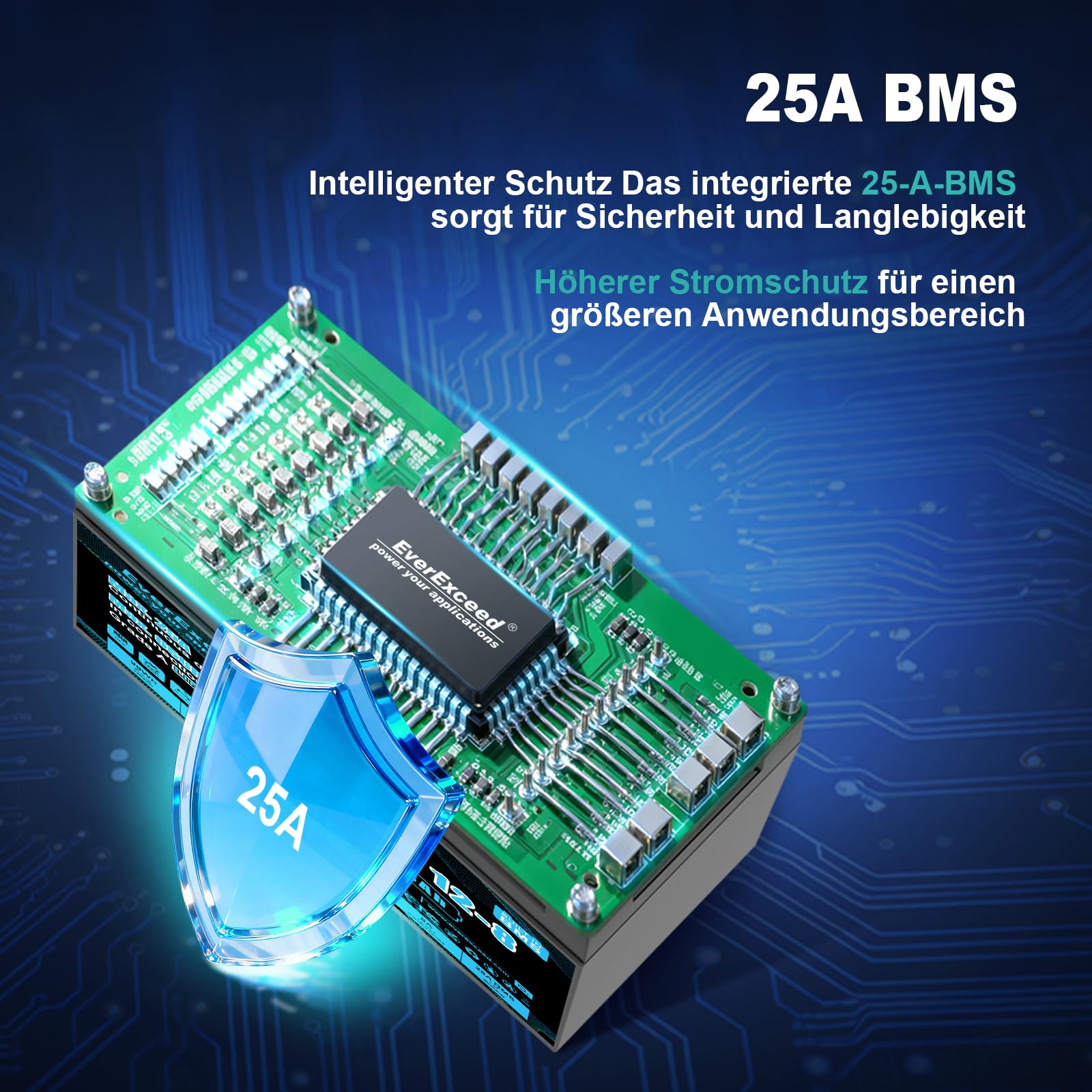 12V 8Ah Lifepo4 Batterie mit integriertem 25A BMS, 3000+ Tiefentladungszyklen 12V Lithium Batterie für USV, Power Wheels, Solar/Windenergie, Beleuchtung, Fischfinder und mehr