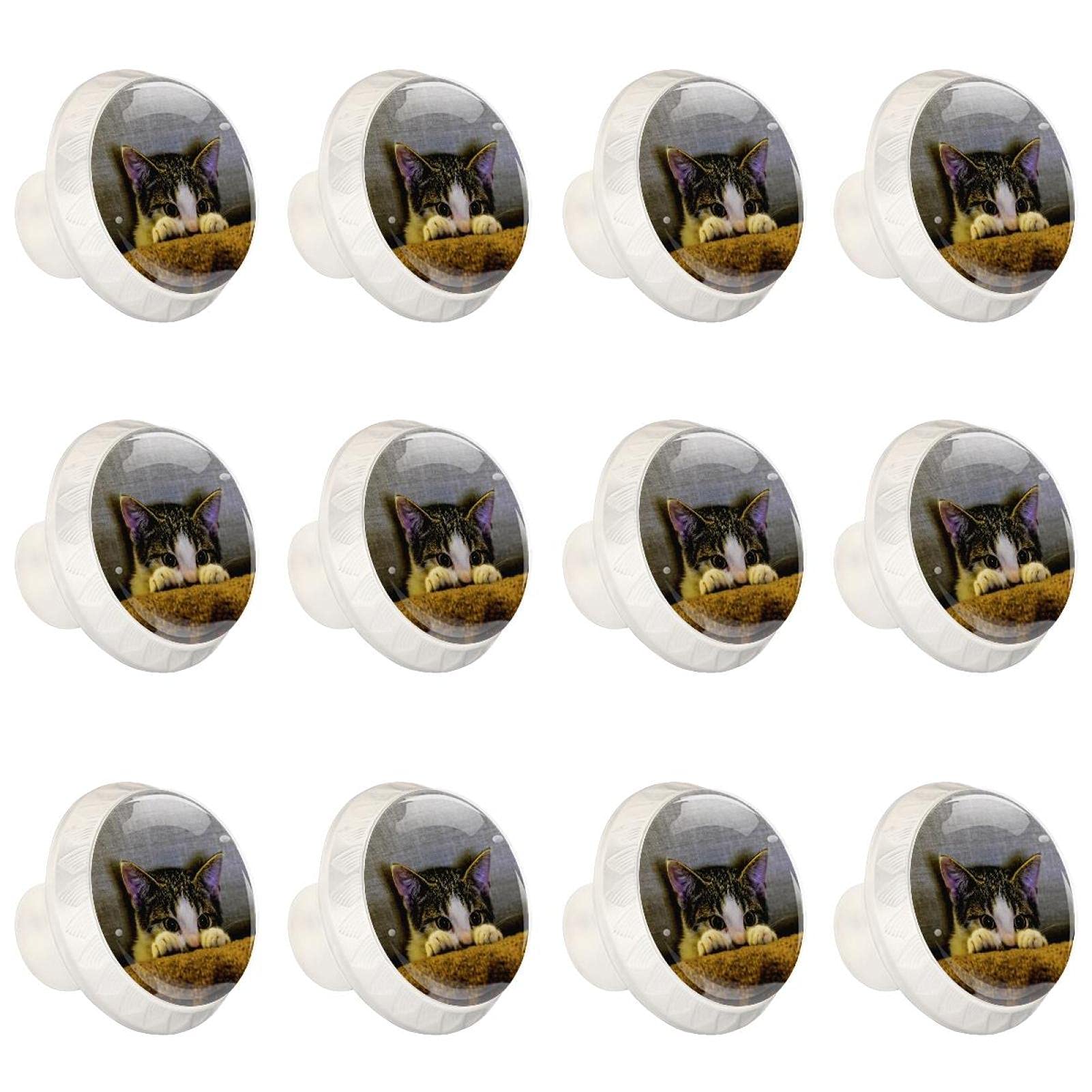 Boutons d'armoires de cuisine chat mignon en lot de 12 pièces pour tiroirs