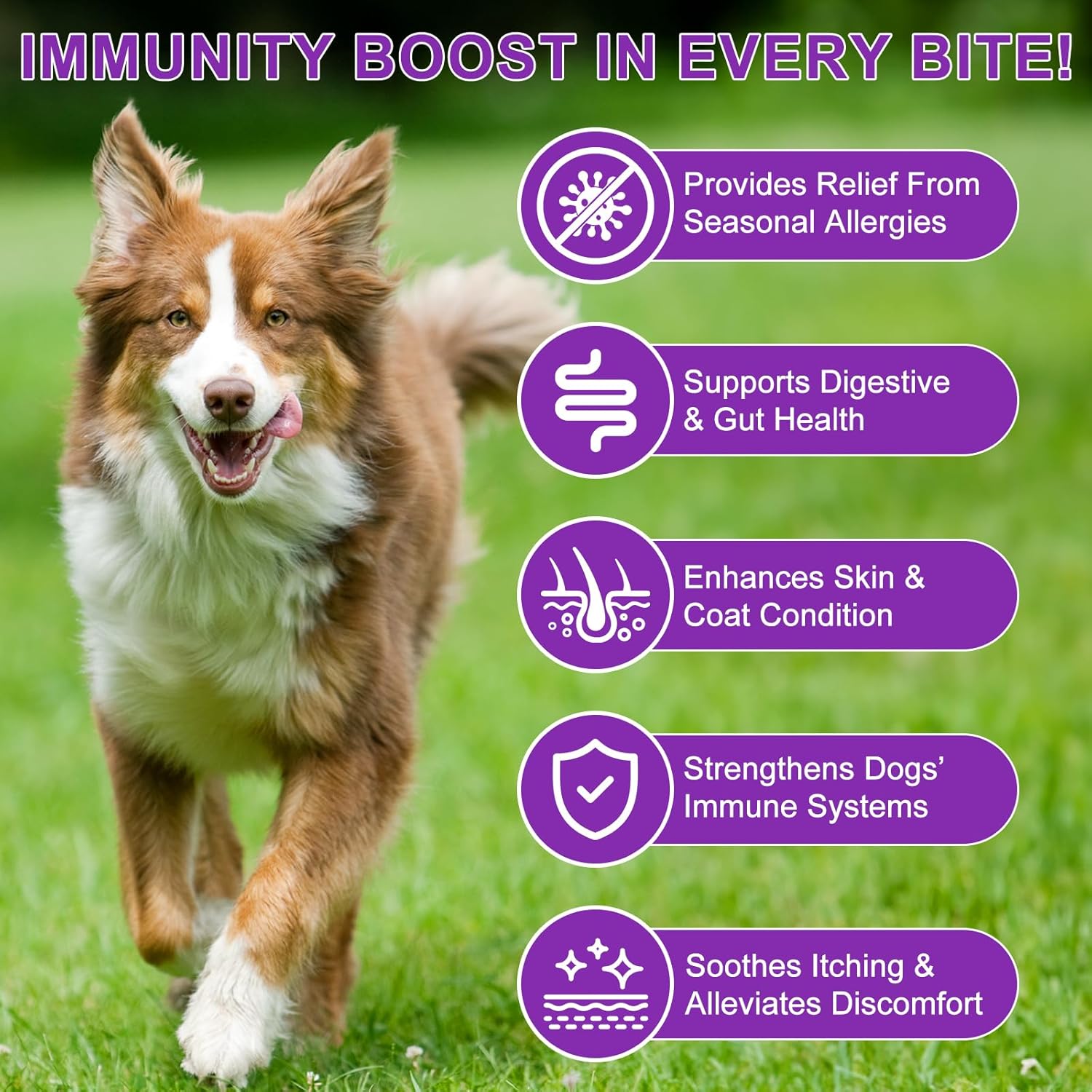 Dog Allergy Relief Chews, Dog Allergy Relief Treats for Itching Skin, Anti-Itch for Dogs, Immune Supplement, Seasonal Allergies, All Breeds and Sizes - 120 Grain