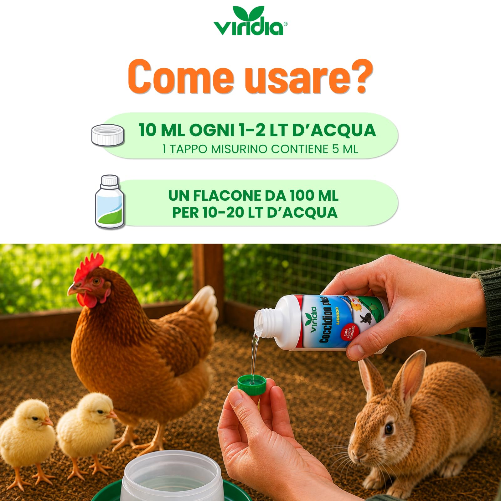 viridia Coccidion Plus Liquido 100 ml – Mangime Complementare per Volatili e Conigli, Supporto Intestinale con Acido Acetico, Equilibrio Intestinale, Facile da Diluire in Acqua da Bere