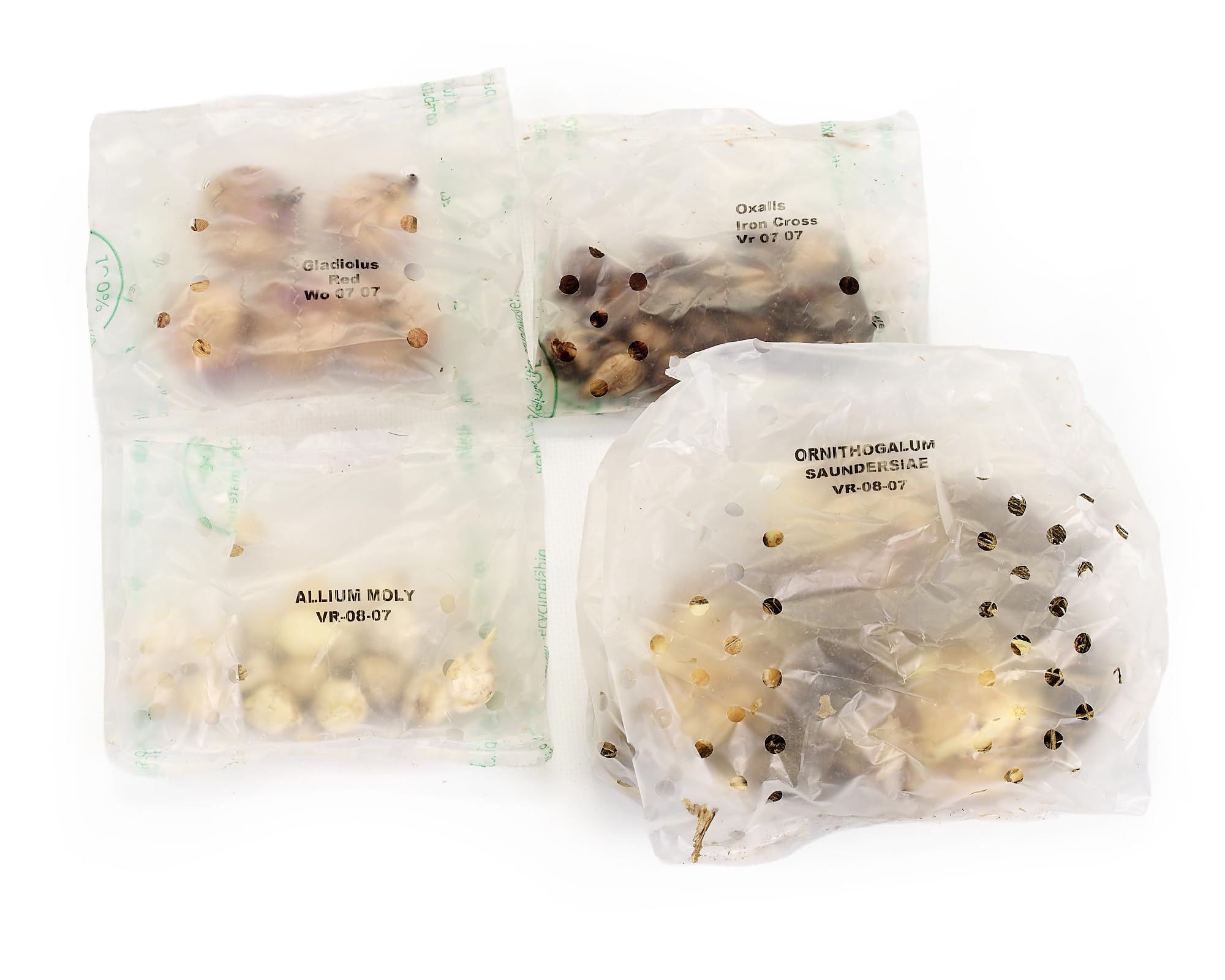 50 Summer Flowering Bulbs Mixed Pack All Summer Long Easy to Grow Sun/Partial Shade Perennial Garden Flower Bulbs for Planting Now UK — view 3