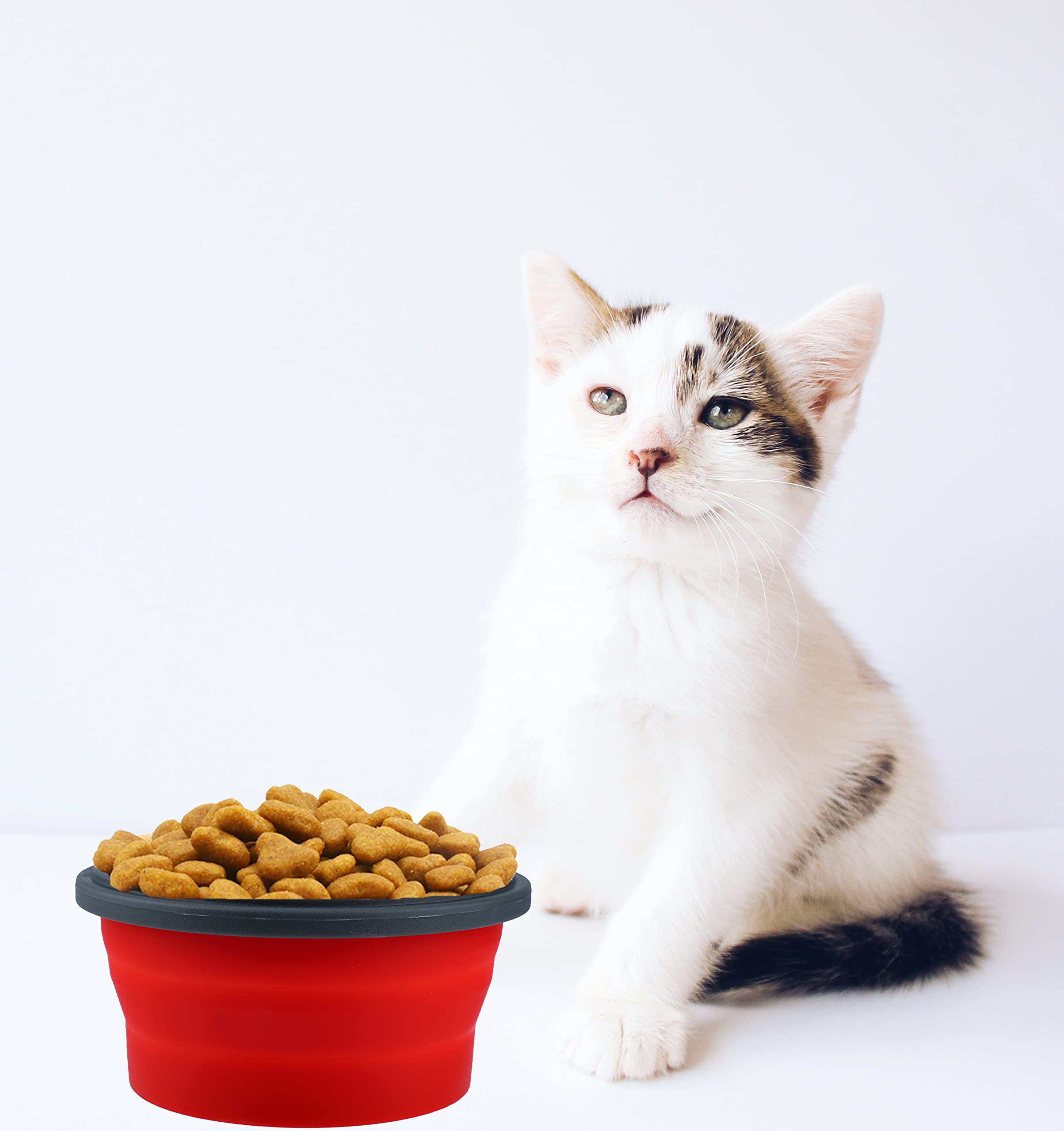 Ciotole Pieghevoli Per Cani LUTER | 2 Pezzi 350 Ml Con Coperchio | In Silicone Per Viaggio E Campeggio - Foto 5