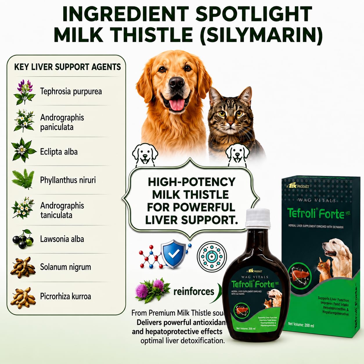 Forte PET Herbal Liver Support Syrup for Dogs & Cats | with Silymarin & Multi-Herbal Hepatoprotective Blend | Supports Liver Function, Appetite, Digestion & Vitality | 200 ml (Pack of 1) — Amazon image 3