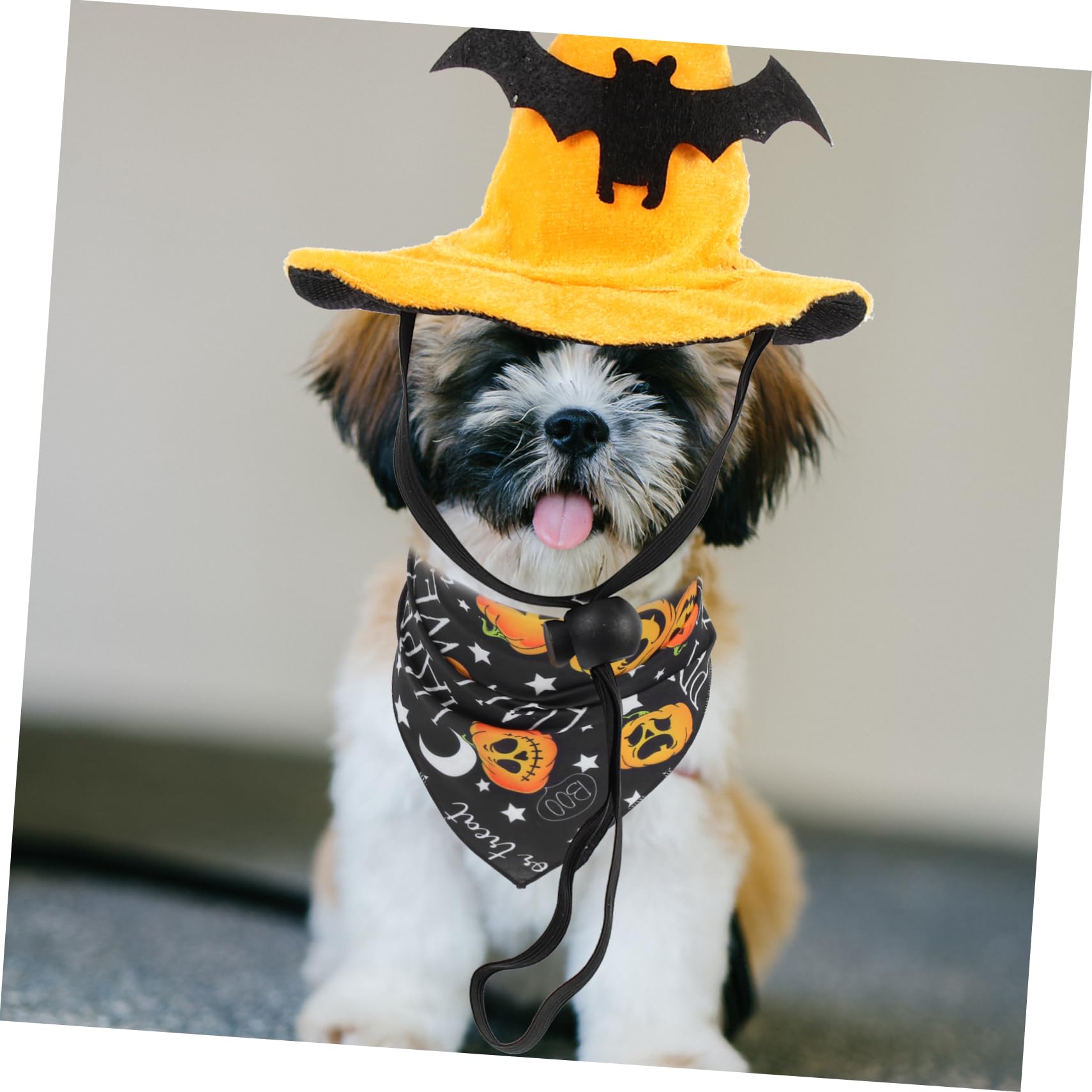 INOOMP 5 Set cappello di halloween dog costume cat hat berretto da strega di Halloween costumi di per cani bandana decorativa di zucca e di per animali domestici