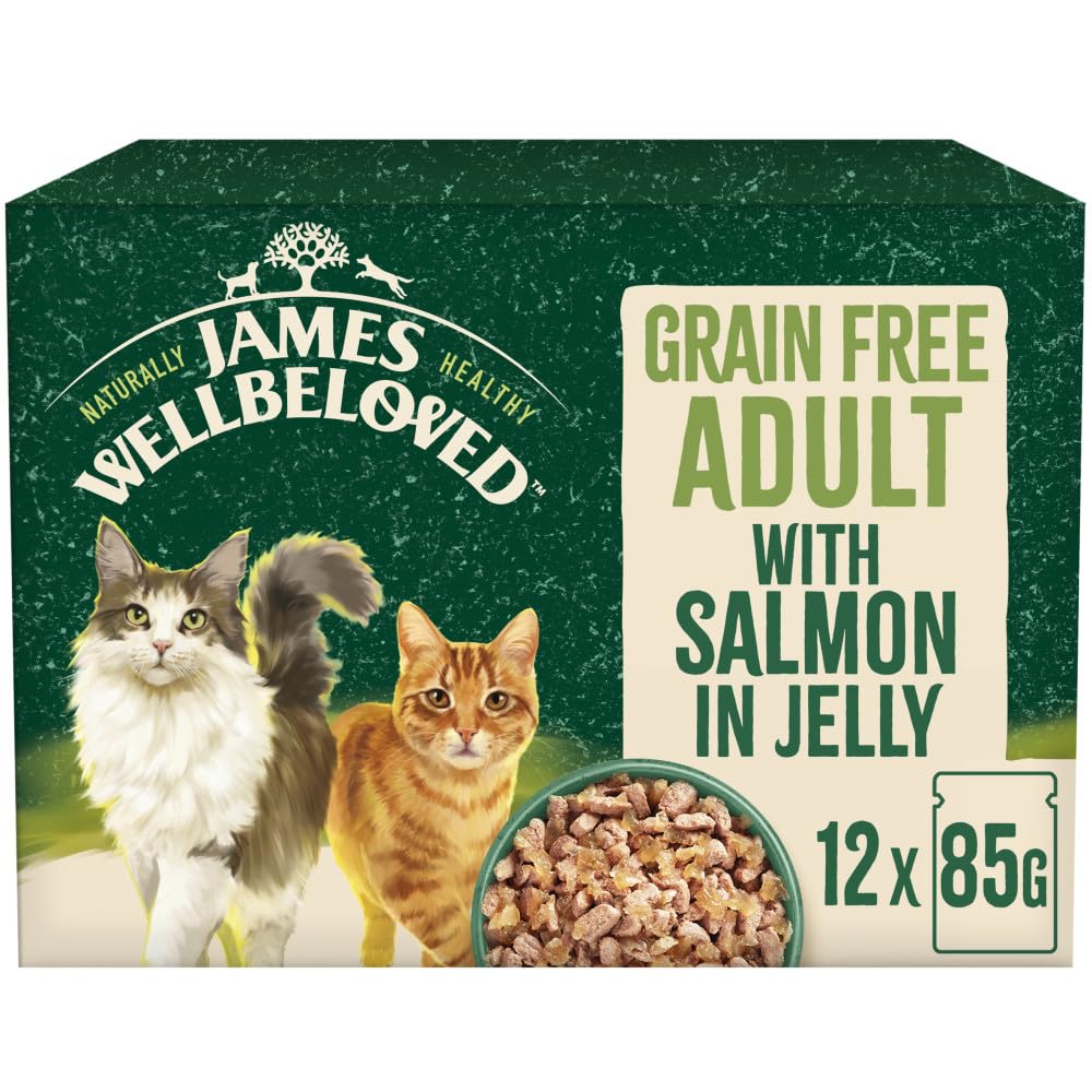 James Wellbeloved Grain Free Adult Cat Food with Salmon in Jelly Pouch 12 x 90 g