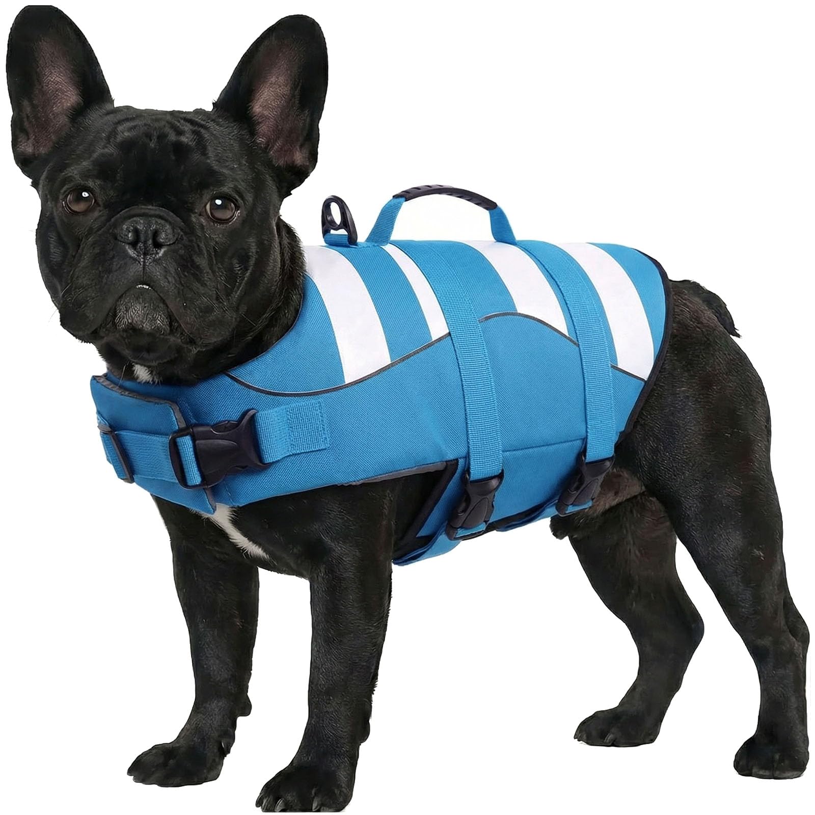 ASENKU Schwimmweste Hund,Hundeschwimmweste M für mittelgroße Hunde – Rettungsgriff & Auftrieb, Sicherheitsweste mit verstellbarem Brustgurt + Reflektor, für Bootfahren, Baden und Wassersport