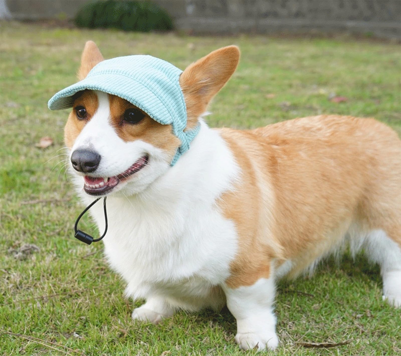 DYOART Custom Hats for Dogs with Embroidered Name Personalized Small Medium Large Dog Cat Hat with Ear Holes Adjustable Cap