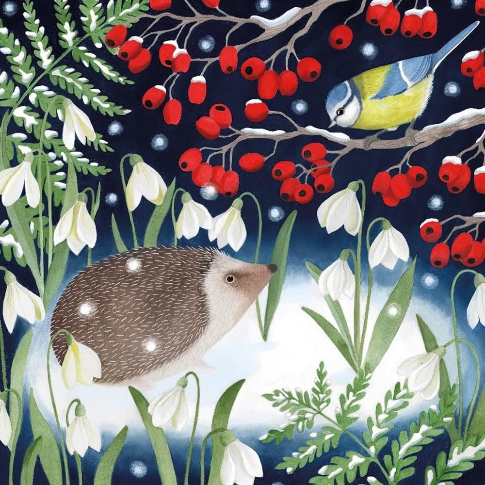 Museums & Galleries Charity Christmas Cards Pack of 20, Assorted Designs, Woodland Animals, 5 x 4 Winter Wildlife Designs - Image 4