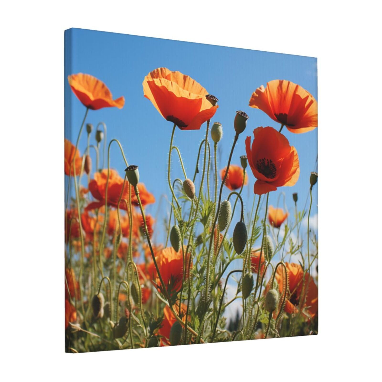 FodPand Poppies on Blue Sky Canvas Wall Art for Living Room Wall Decor 12"x12" Modern Artwork Painting Pictures Hanging Canvas Prints Aesthetic Wall Art for Bedroom Bathroom Office Wallart Decor