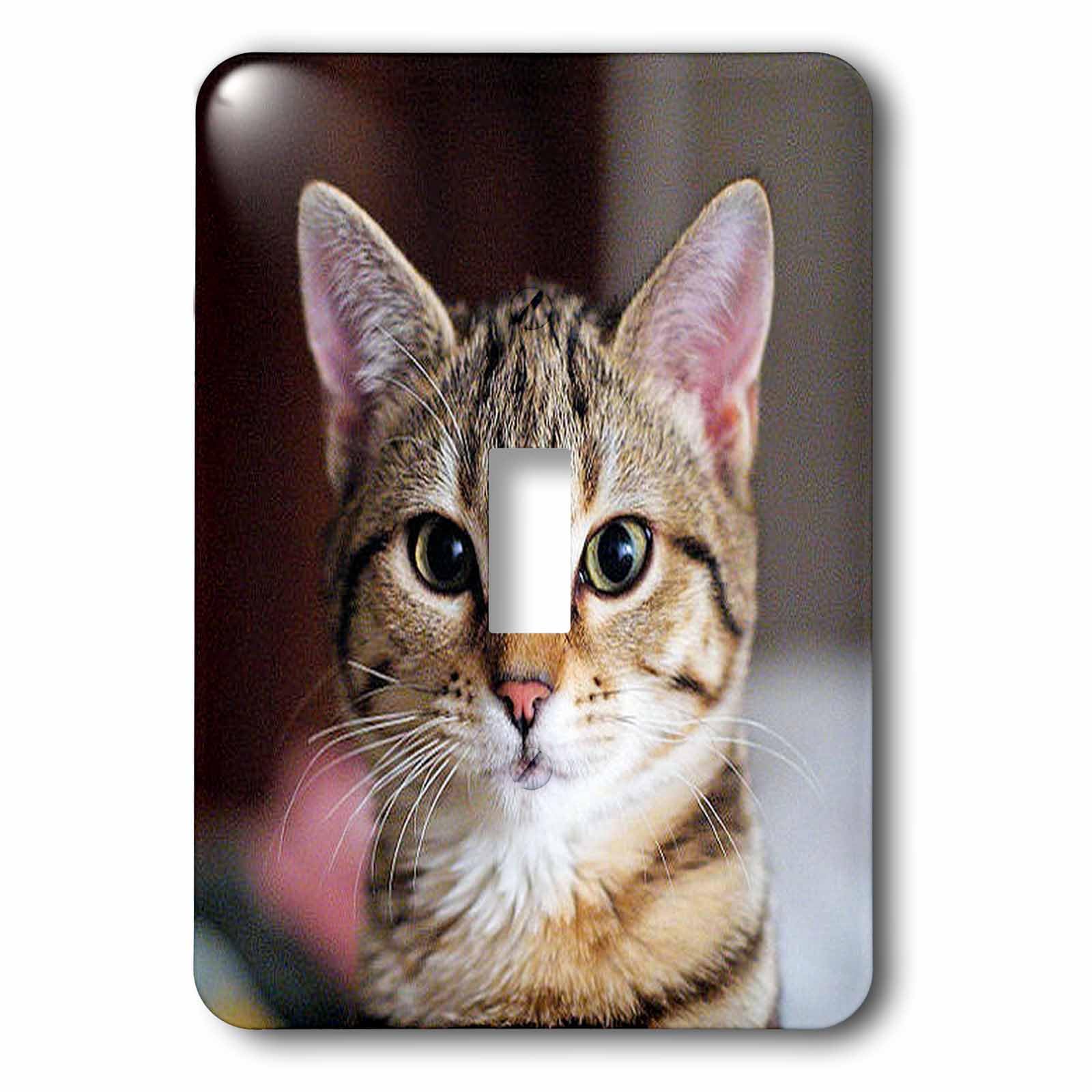 Tabby Cat Kitten interrupteur baïonnette déco chaton pour chambre
