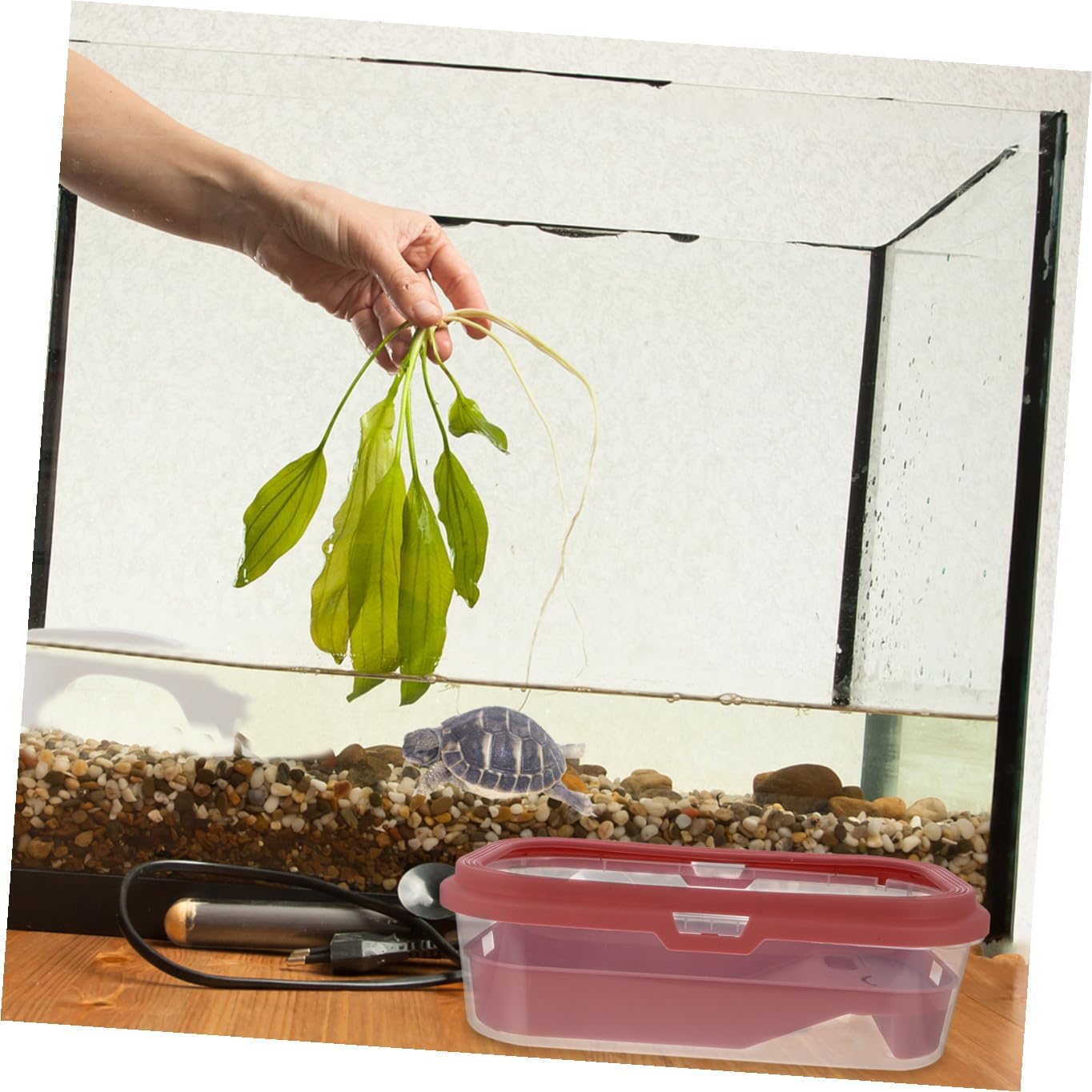 Plastic Tortoise Feeding Tank Drying Platform Multi-Purpose Aquarium for Turtles Easy to Clean Non- Ramp Suitable for Home Use