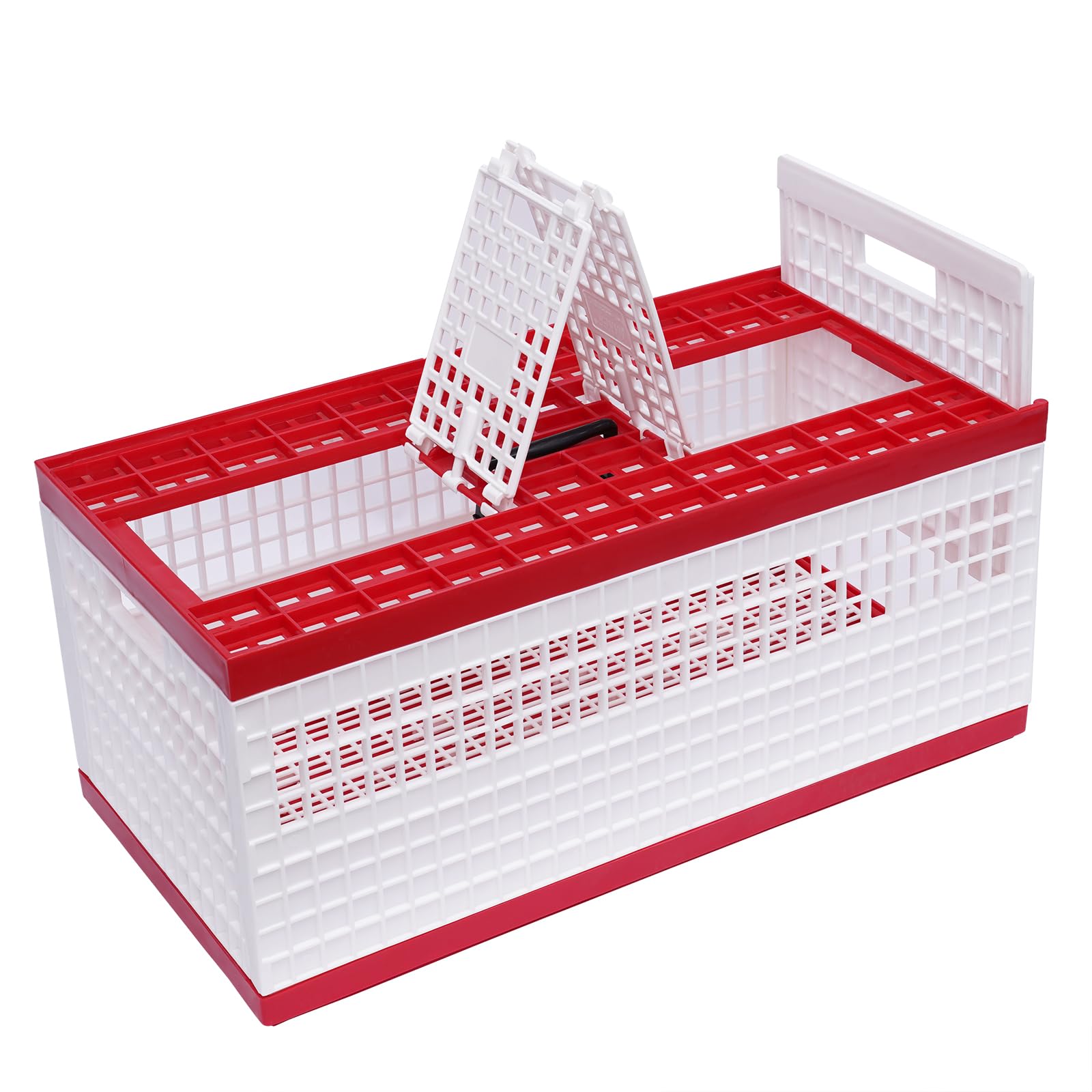 Skrzynka transportowa drobiu, składana skrzynka na gołębie, pudełko transportowe do 14 gołębi, 3 drzwi, do treningu, na zawody, 60 x 31 x 26 cm