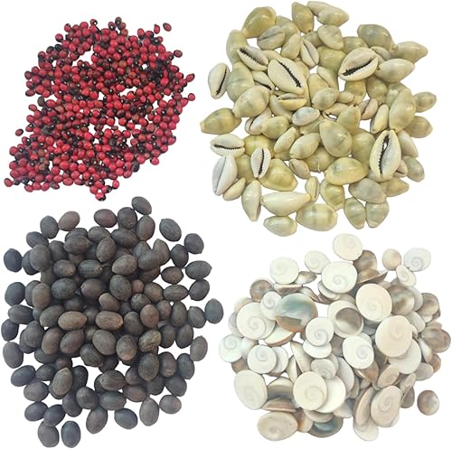 BHAVICREATION Lakshmi Puja Set 11 piezas Gomati Chakra 11 piezas Kamal Gata 11 piezas Rakhta Gunja 11 piezas Amarillo Kaudi Diwali Pooja Samgiri