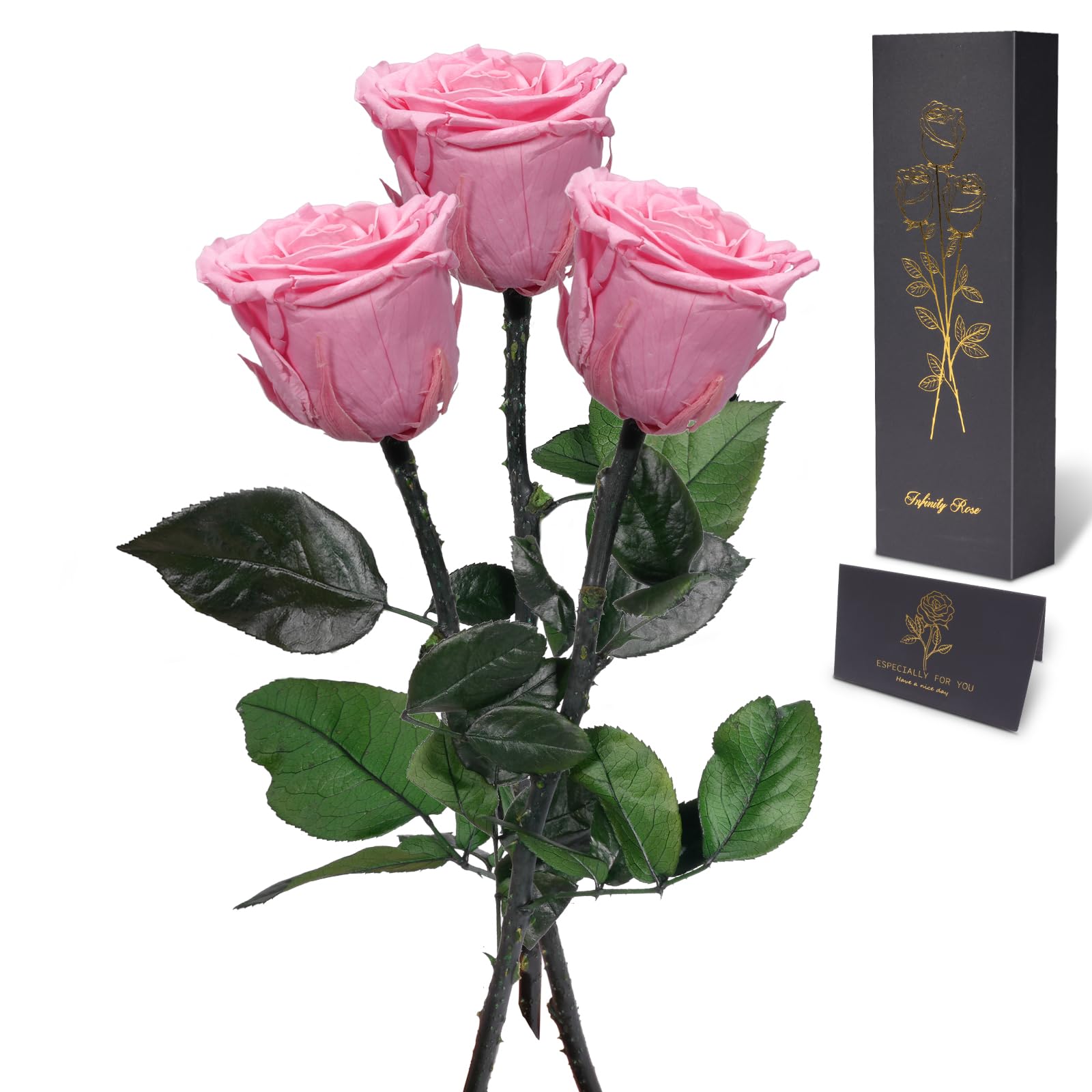 Yamonic Rosa Eterna Regalos para Mujer, Rosa Preservada con Tallo Regalo Dia de la Madre Regalo Cumpleaños Mujer, Flores Preservadas Regalos Madre, Rosa Eterna Natural Preservada Regalo San Valentín — view 12