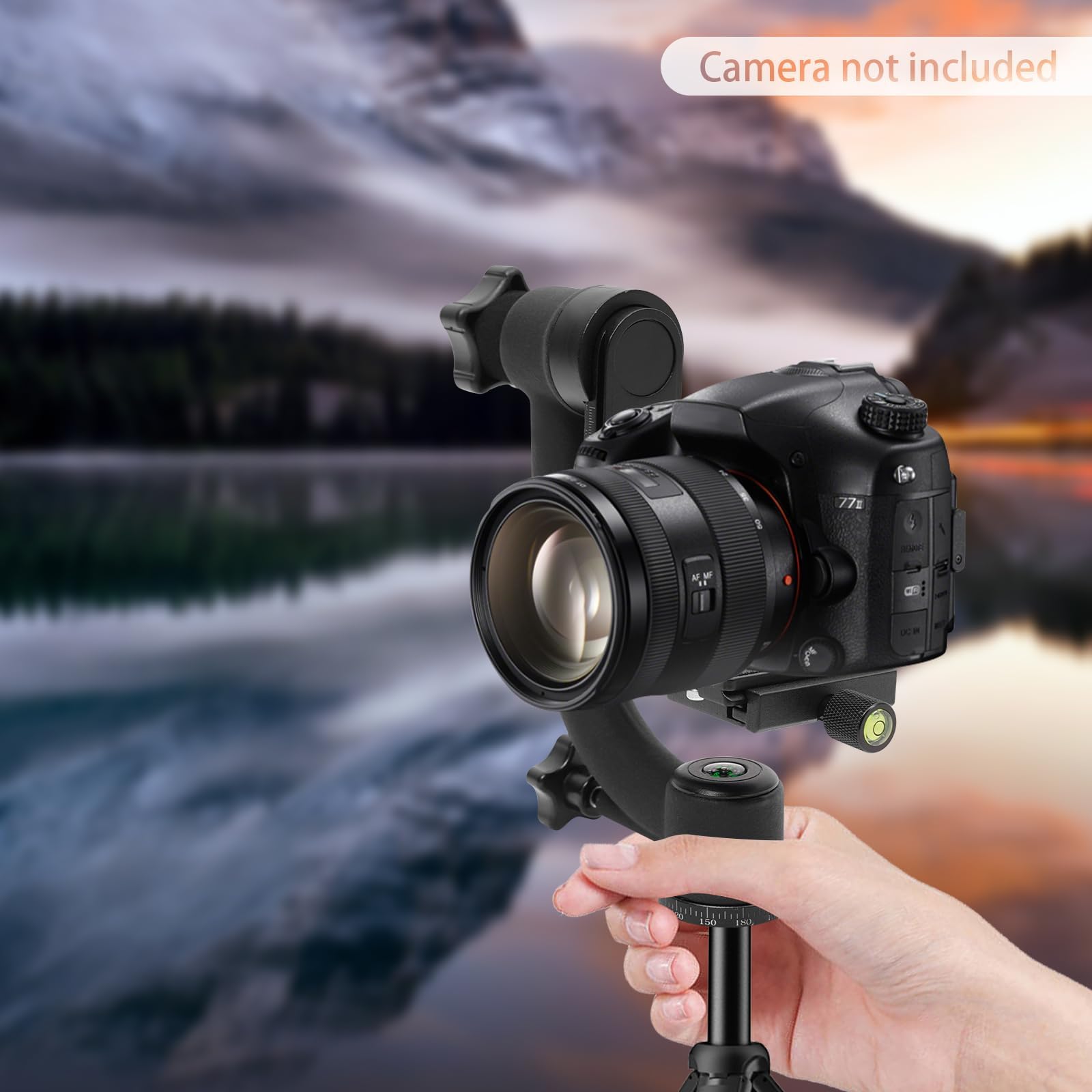 Testa professionale per treppiede, capacità di carico di 20 kg, rotazione a 360°, piastra a sgancio rapido e livella a bolla, per fotografia di animali selvatici e uccelli