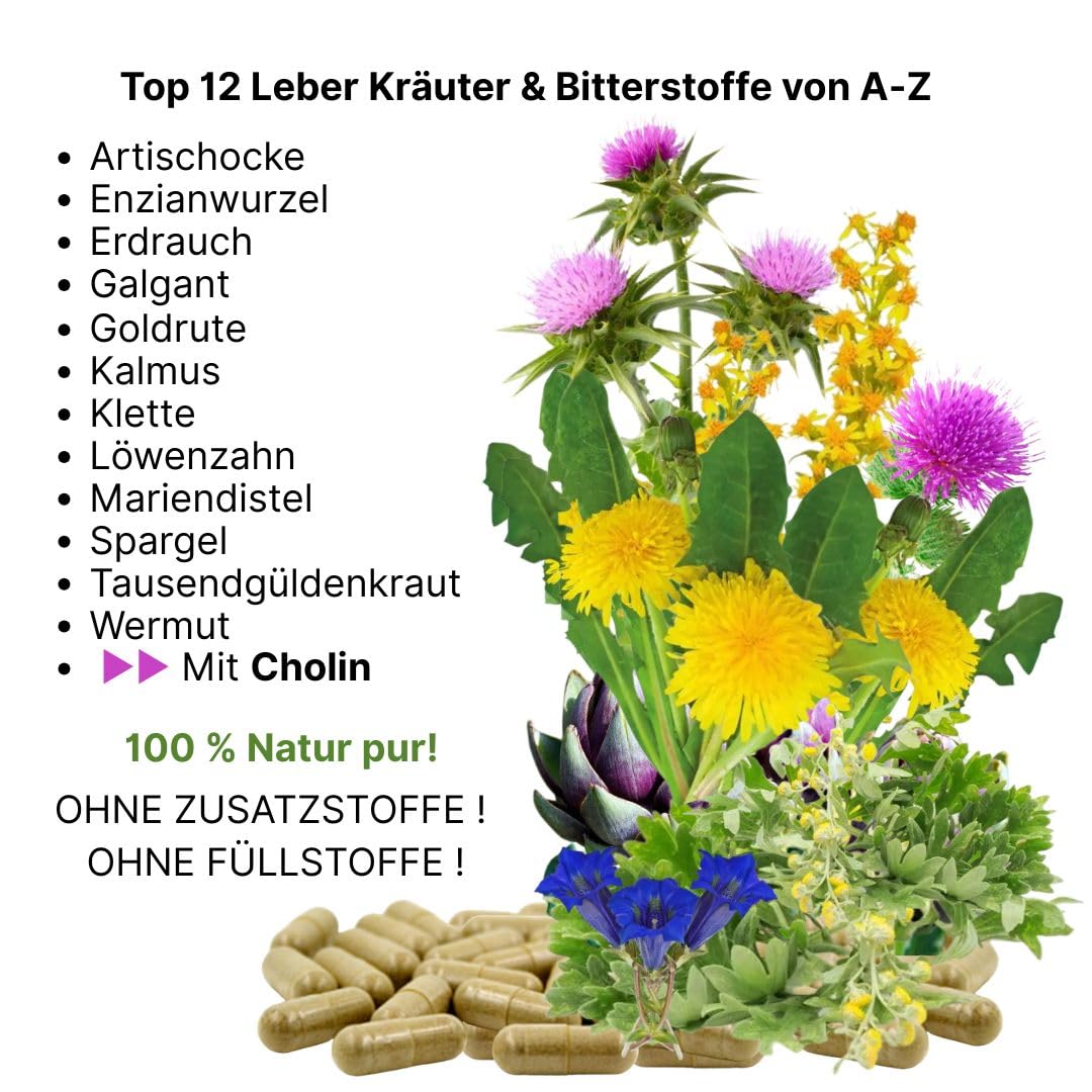 LEBER Vital Komplex Leberkapseln 3x120 Kapseln 12 Kräuter & Bitterstoffe mit Löwenzahn, Artischocke, Mariendistel + CHOLIN für normale LEBERFUNKTIONEN & FETTSTOFFWECHSEL. OHNE ZUSATZSTOFFE 26454-3