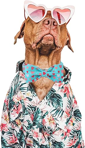 Miniatura 5 de DOGWONG Collar de perro para el día de San Valentín con pajarita collar de perro de San Valentín de corazón azul suave duradero ajustable collar de