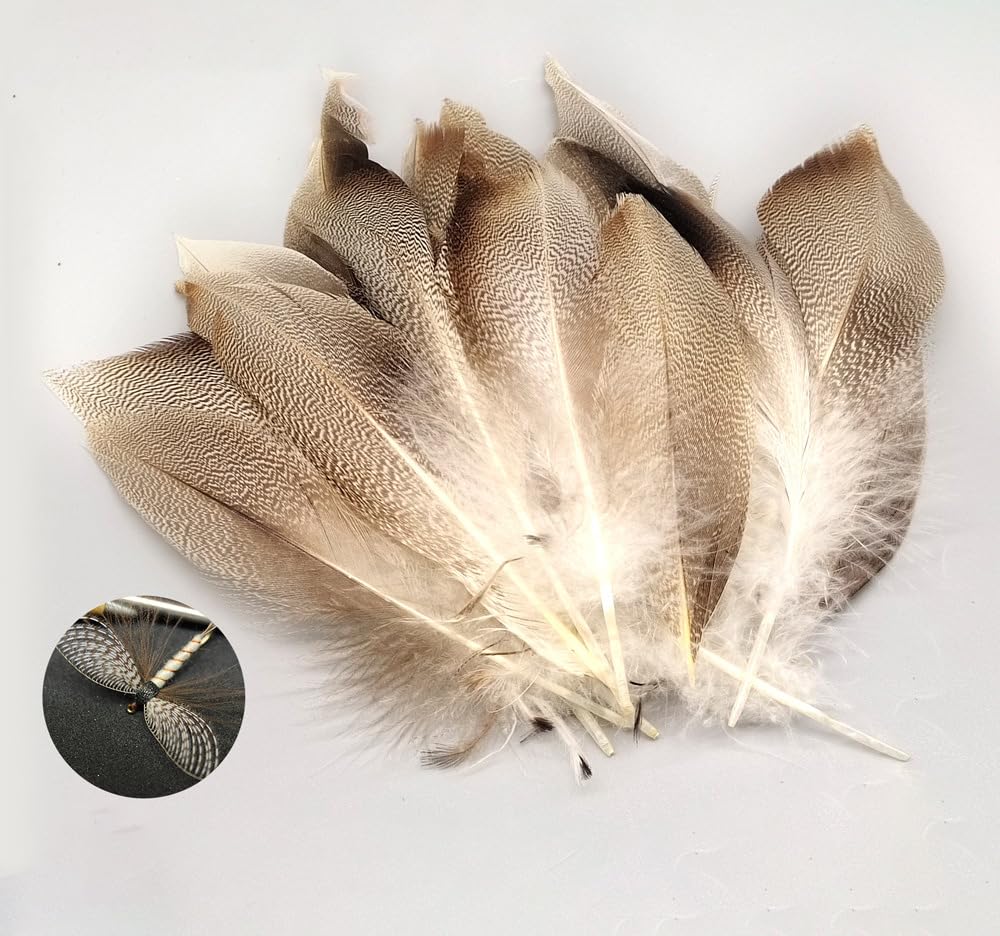 Lot de 50 plumes de flanc pour attacher les mouches - Naturel - Plumes de canard - Poils d'oie sauvage