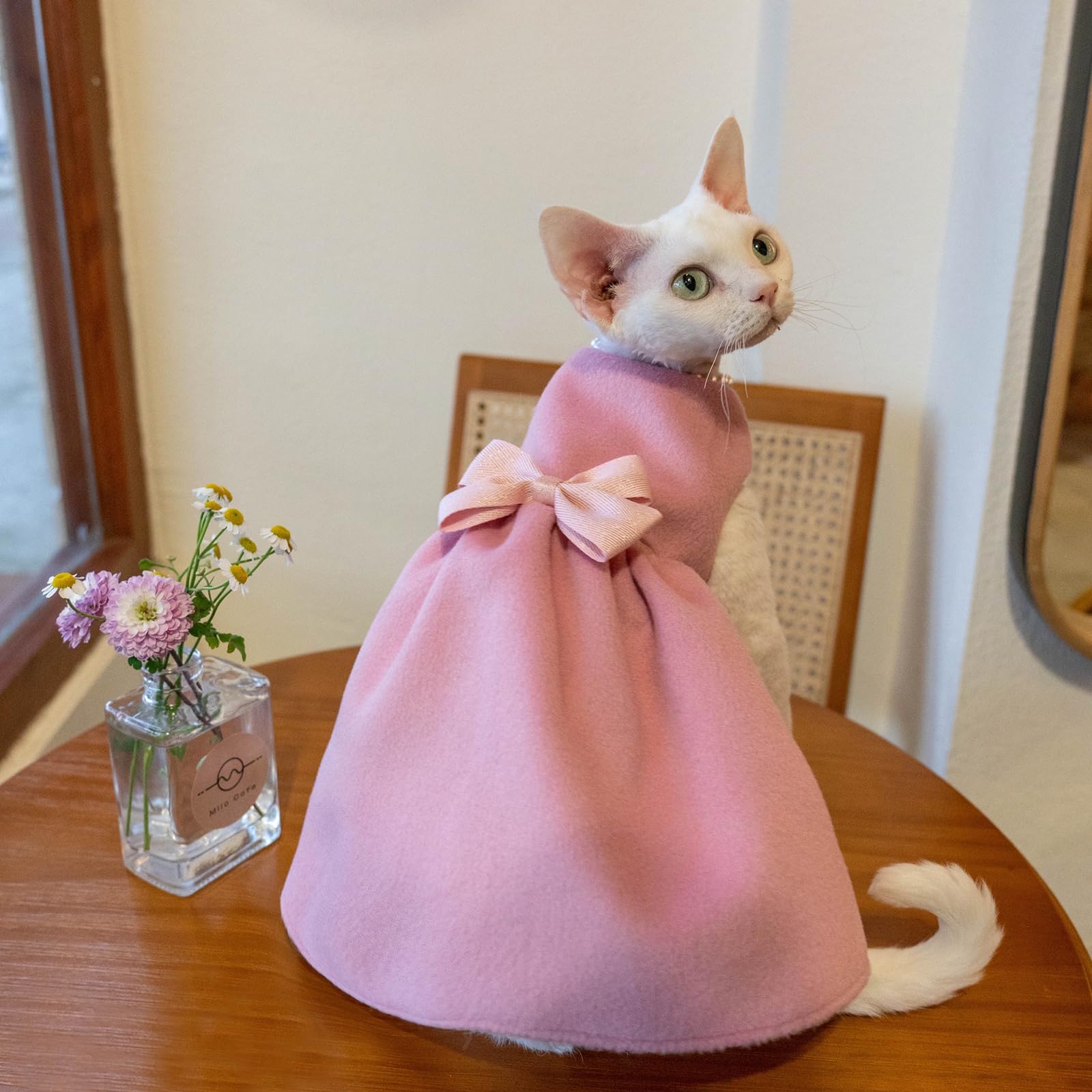 Hairless Cat Clothes Pet Clothing Apparel for Cats Sphynx Cat Clothes Kitten Cats Pink Dress with Pearl Necklace Full Set (XXXL+ (14.3-16 lb), Pink Dress with Necklace) : Pet Supplies