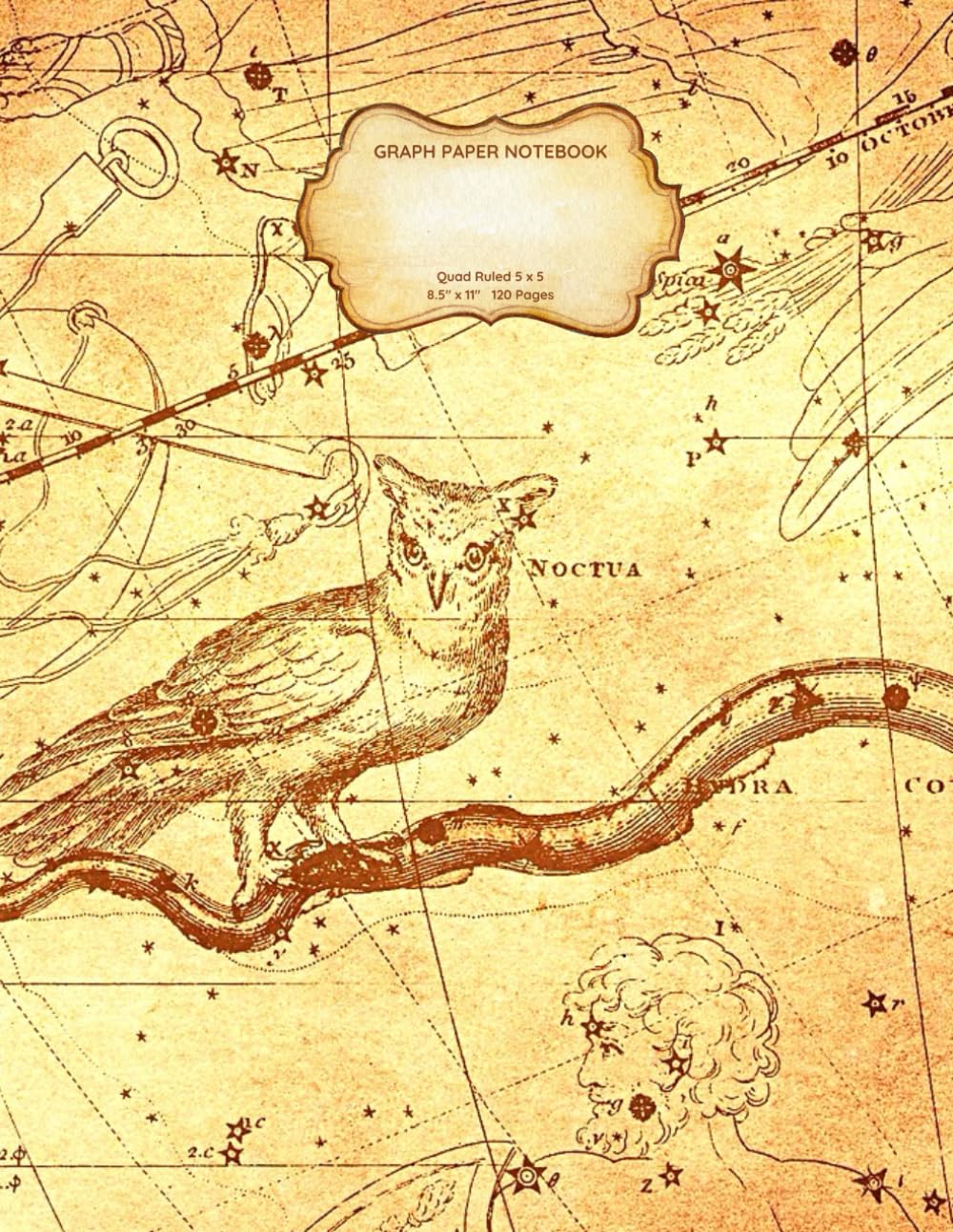 Graph Paper Notebook: Quad Ruled 5x5 Grid Paper 120 Pages 8.5 x 11 (Celestial Owl)