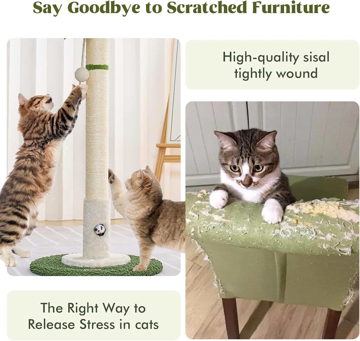 Woochpet Cat Scratching Post for Indoor Cats and Kitten - 35.43" Tall Cat Scratching Post with Sisal Rope,Palm Tree Cat Scratch Post with Hanging Ball (35.4-White, 35.4in)