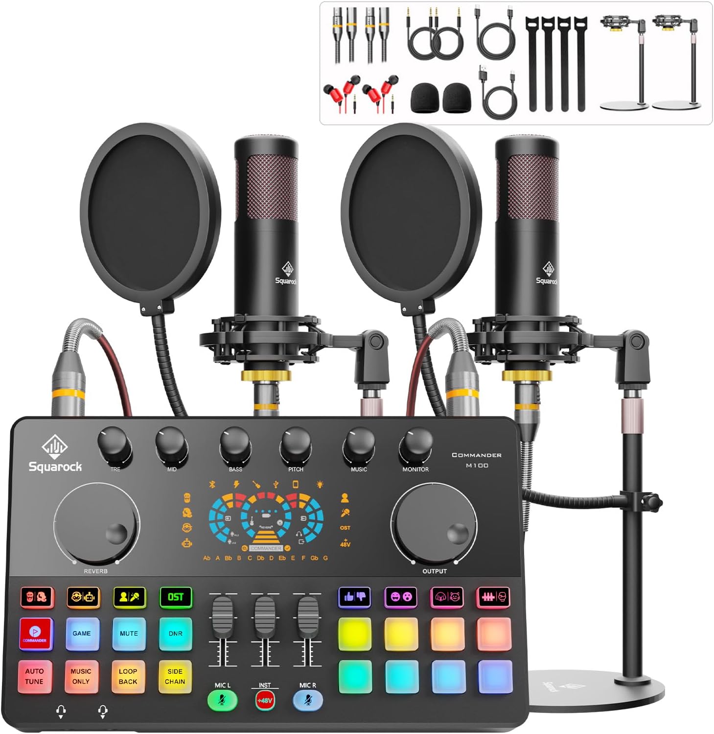 Podcast Equipment Bundle for 2 with Dual 48V XLR Condenser Micophones with Mic Pop Filters Audio Equipment for Live Streaming/Recording, Online Gaming for Phone/Laptop/PC Audio Interface M100