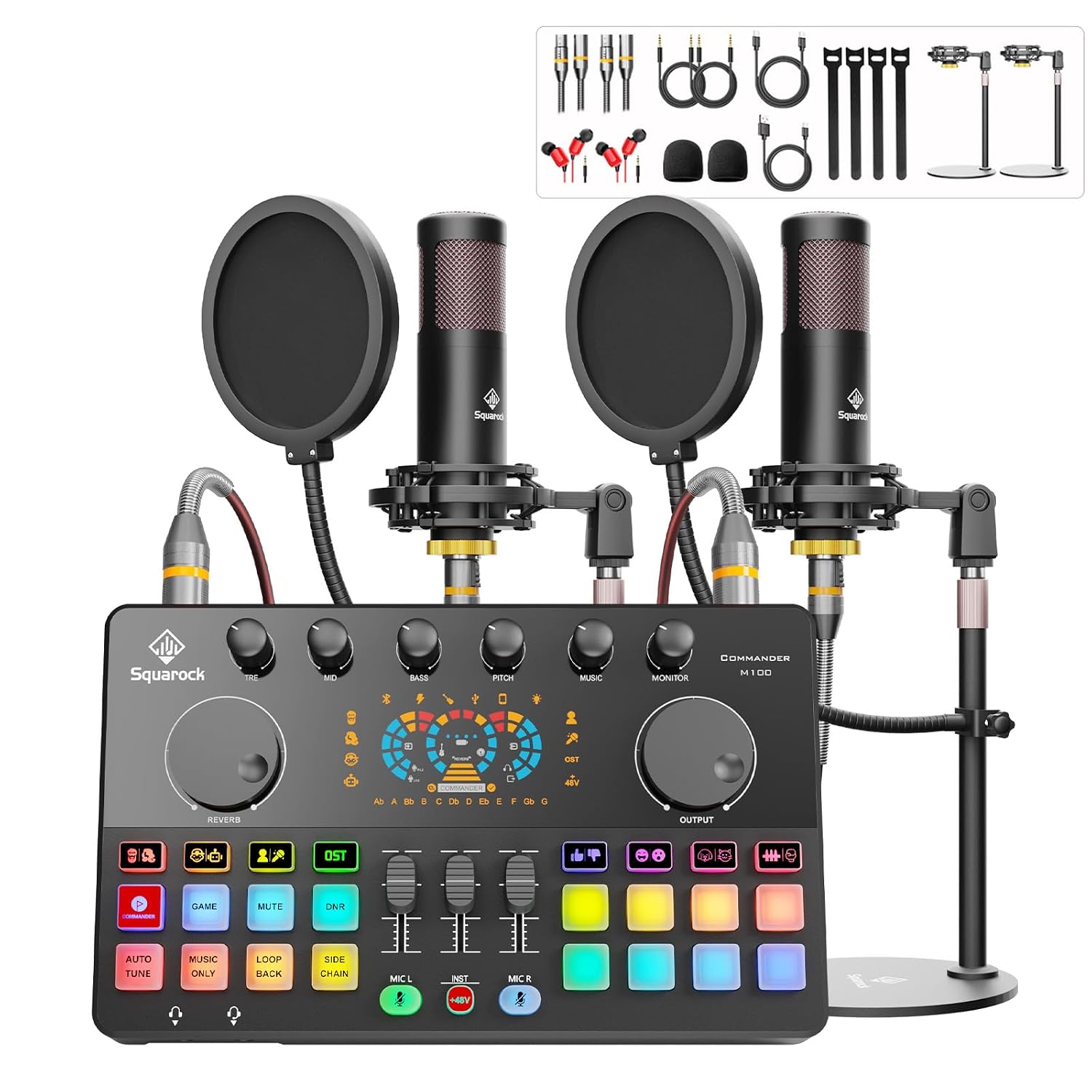 Podcast Equipment Bundle for 2 with Dual 48V XLR Condenser Micophones with Mic Pop Filters Audio Equipment for Live Stream...