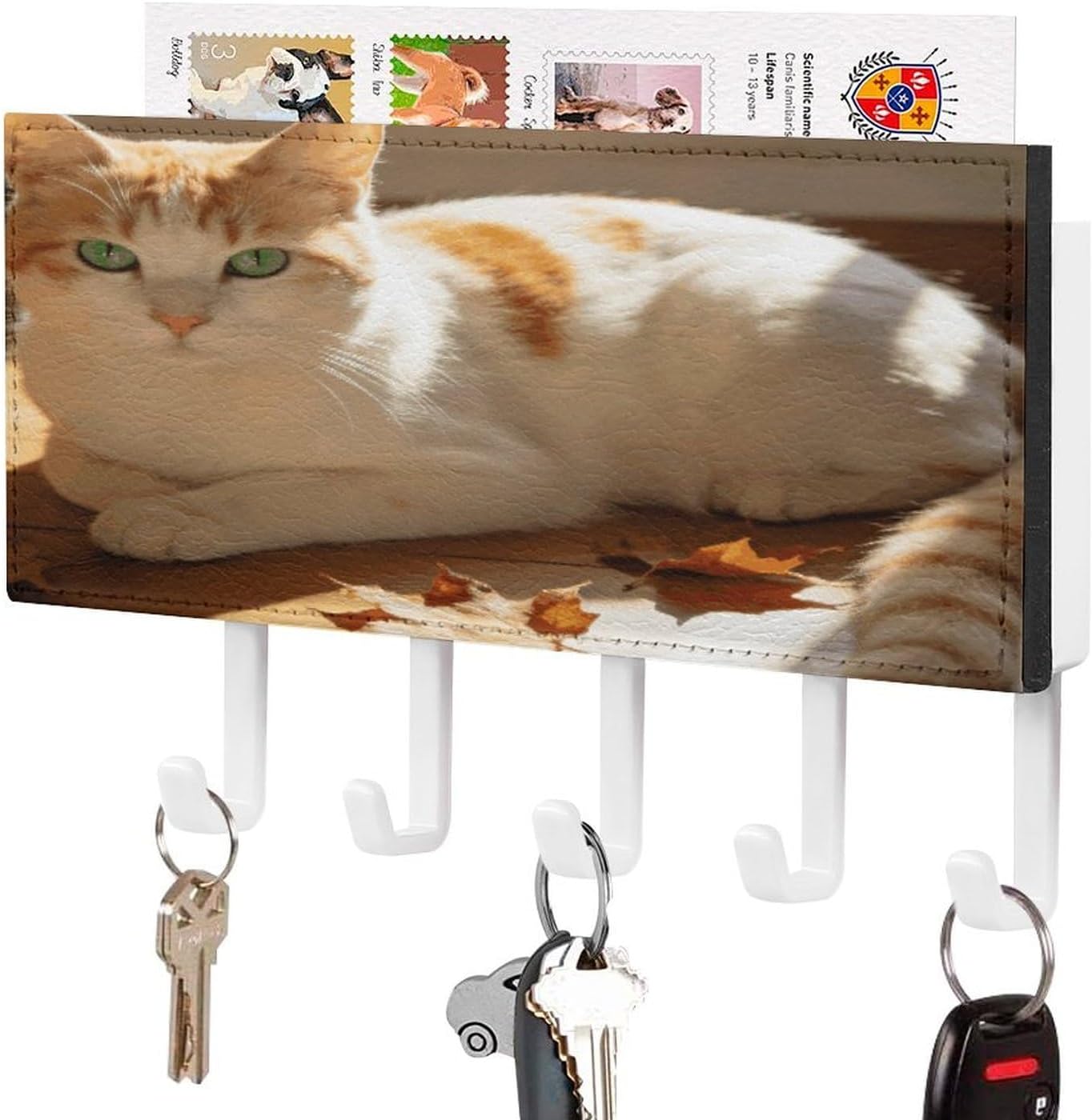Key Holder Wall Mount Key Hanger with 5 Hooks, Decorative Key Rack | Beige Orange Cat Hanging Key Hooks with Mail Organizer for Wall Living Room Kitchen Bathroom Hallway