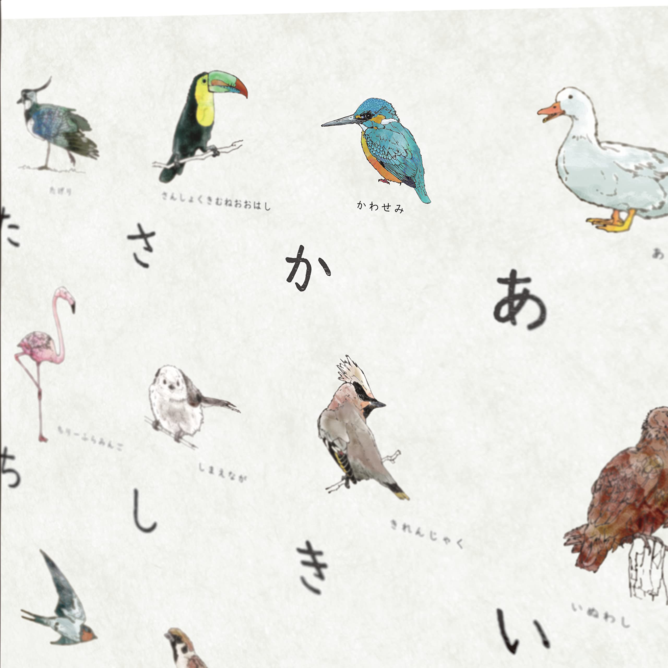 Amazon.co.jp: チアフル舎【鳥と野鳥のポスター】 (A3サイズ