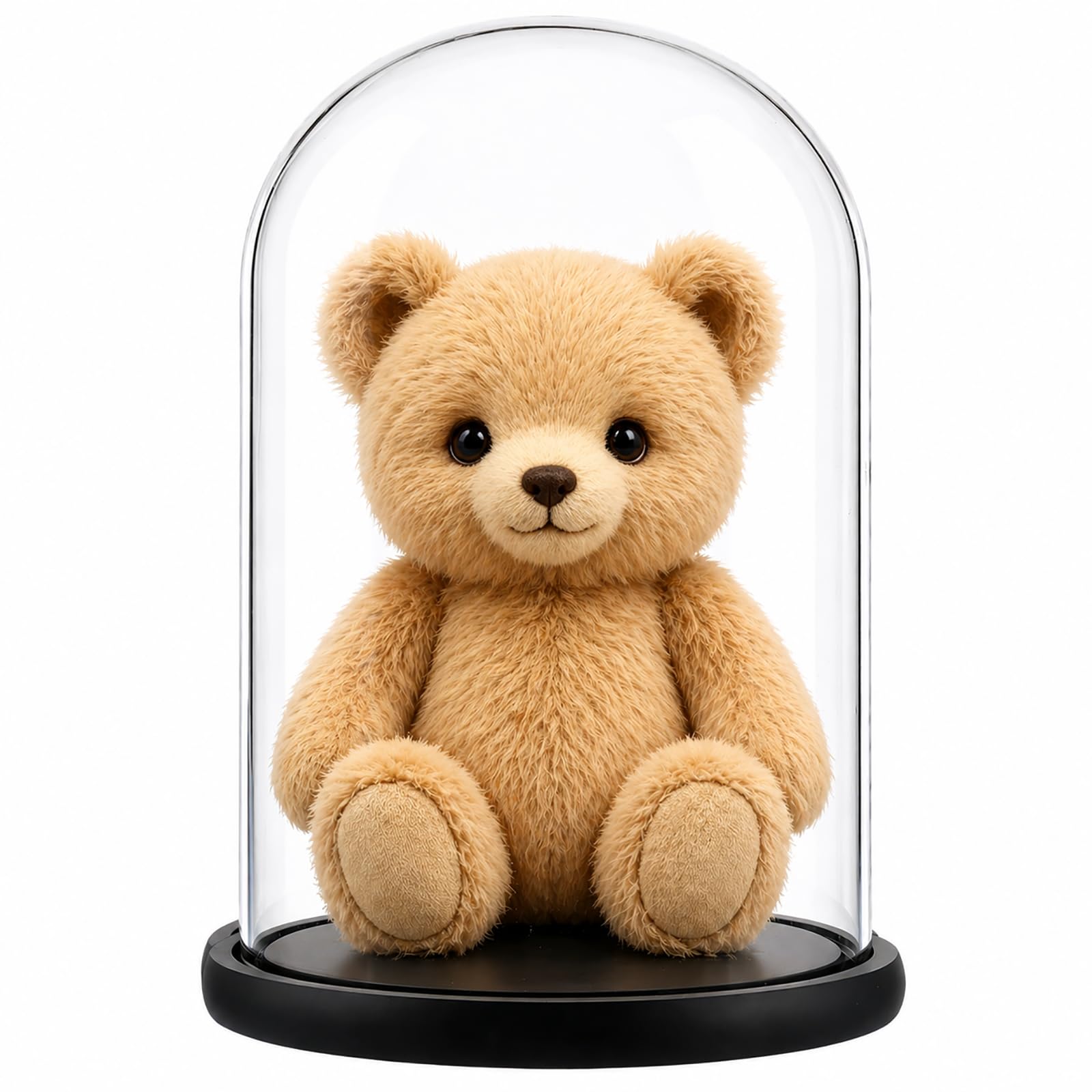 AKOLAFE Campana de cristal con base de madera, 20 x 30 cm, cúpula decorativa de cristal, cúpula decorativa de cristal, campana de cristal de 30 cm de alto, campana de cristal con base para