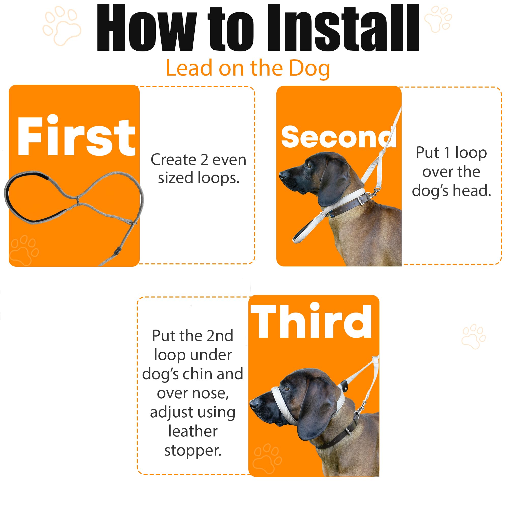 Total Pet Figure of Dog Lead Flat with Anti Tangle Swivel