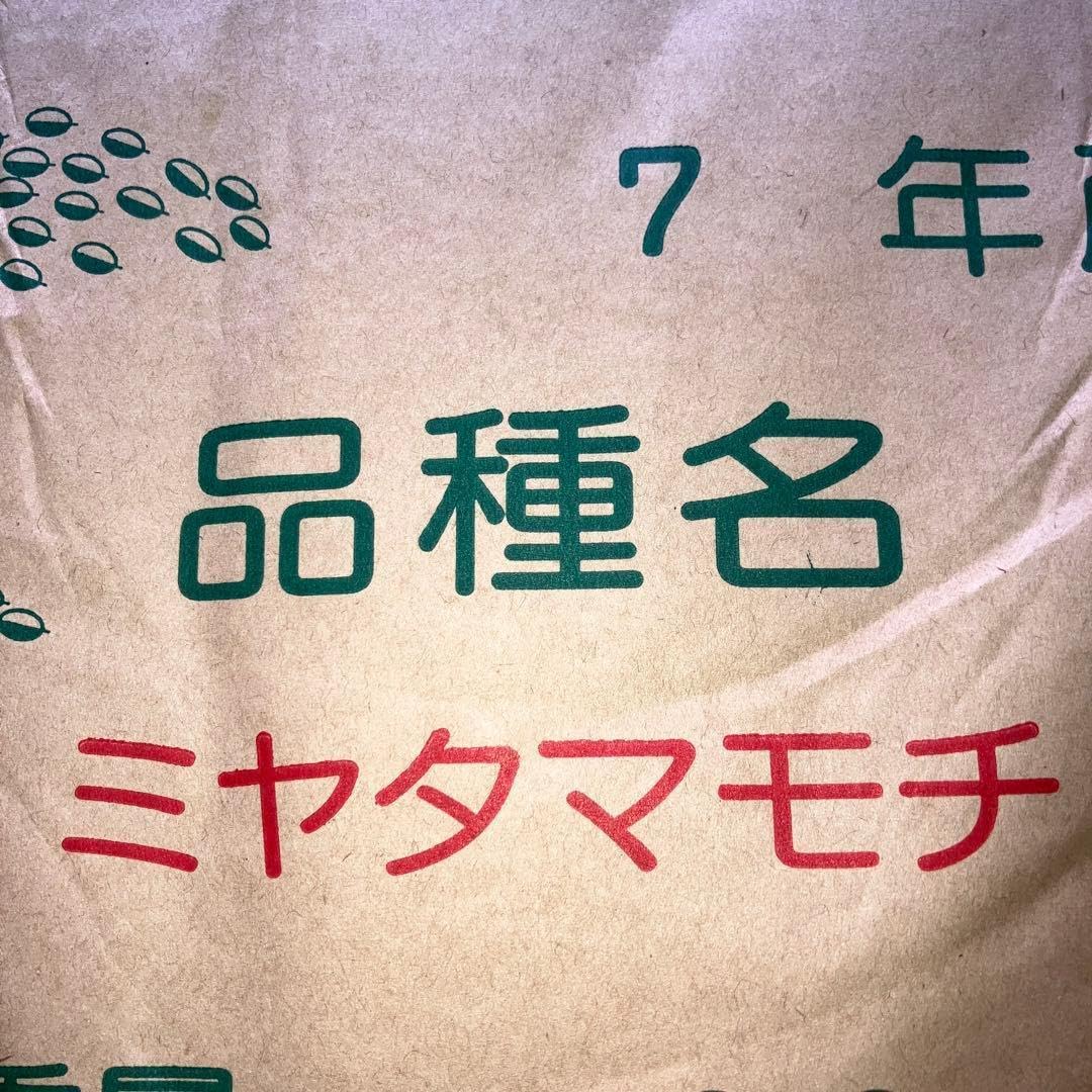 K33　ハッピーヒル4キロ　プラス黒米おまけ Amazon.co.jp: もち種籾300g 陸稲種籾 ハッピーヒル代用 お米の種