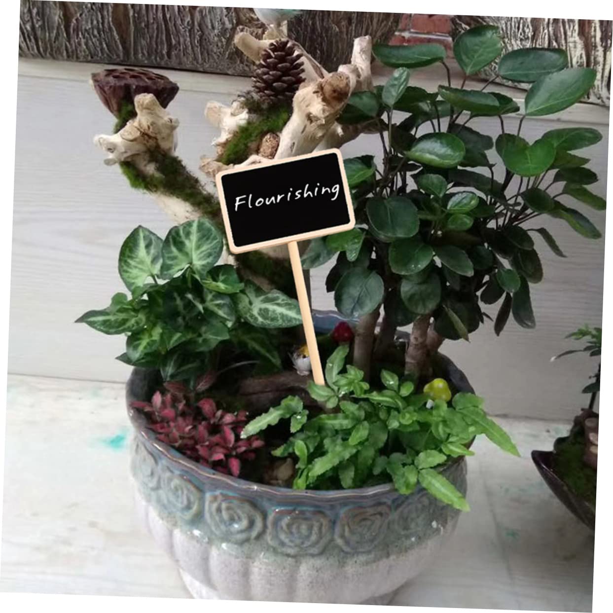3 Ensembles Étiquettes De Plantes Marqueurs Pour Jardin Pour Fleurs Plantes Pot Décorations Pratiques Personnalisables 20 Pièces * 3