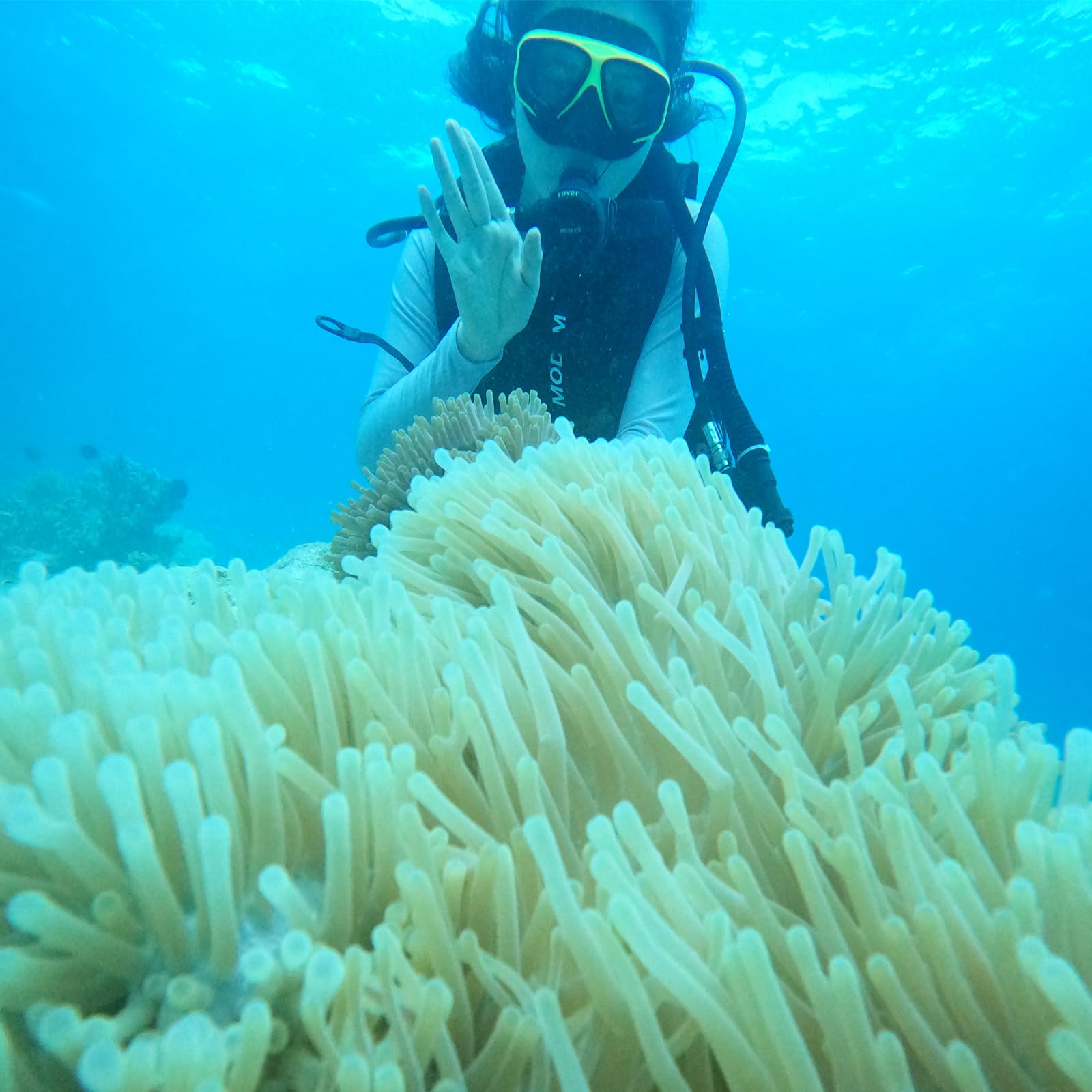 D'oxygène Plongée, 1L Mini Bouteille de plongée sous-Marine avec Pompe à air à Haute Pression, 15 à 20 Minutes pour la plongée sous-Marine Formation respiratoire,Jaune