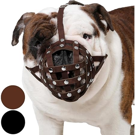 leather bulldog