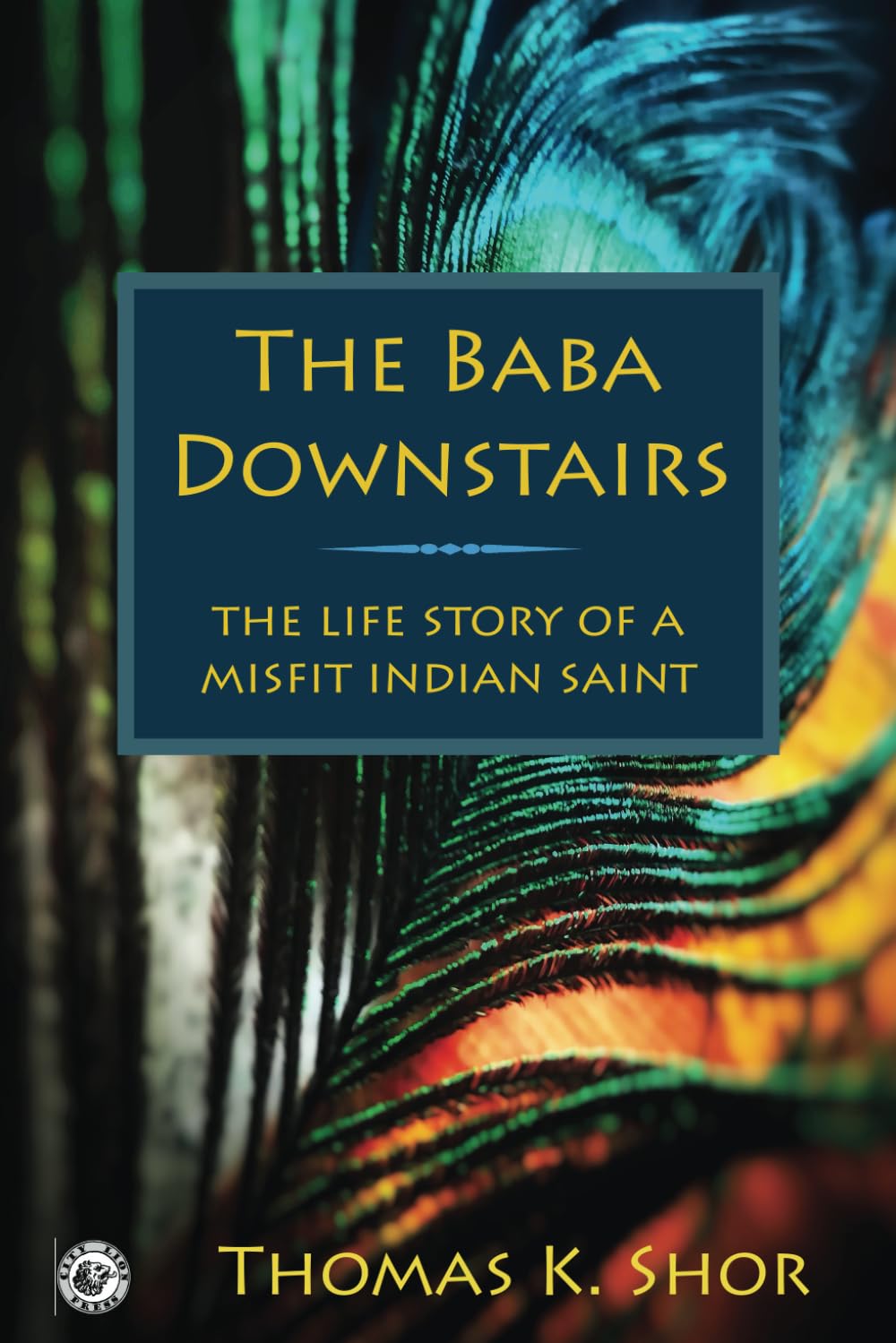 The Baba Downstairs: The Life Story of a Misfit Indian Saint