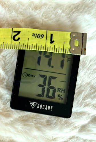 Review Image by Bizzer Bee