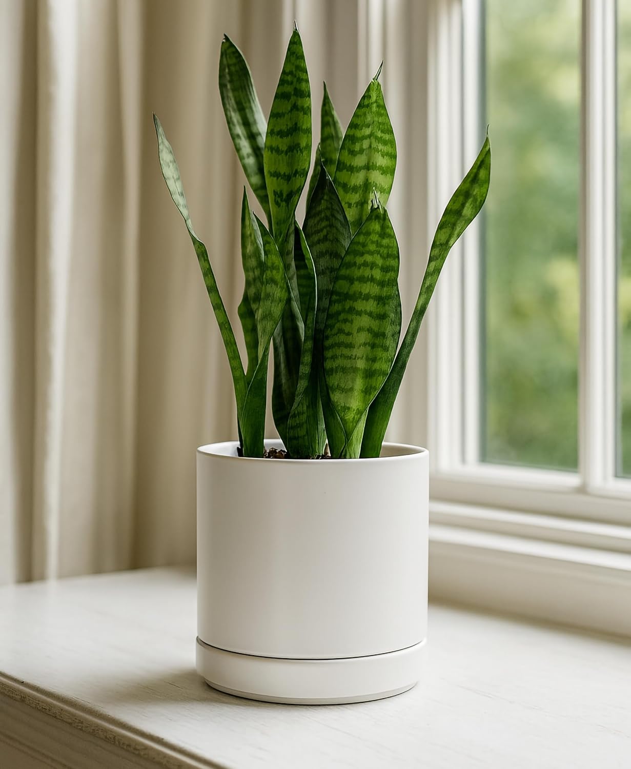 D'vine Dev 4.7 Inch & 6.5 Inch Ceramic Planter Pots for Plants with Drainage Hole and Saucer, Small Plant Pots Set, White, 94-G-S-1 Small White