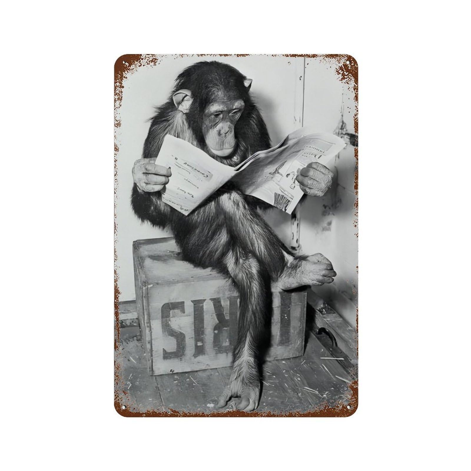 xiaoxiaoshen Monkey Reading Newspaper Wall Decor Art Metal Tin Poster Modern Home Decor Art Home Bar Shop Decorations Vintage Sign 30x20cm