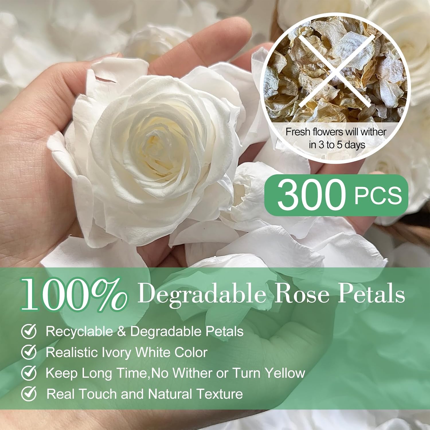 Dried Real White Rose Flower Petals for Wedding, 2.82oz Freeze Dried Ivory Petals for Flower Girl Basket, Dinner Table Centerpieces ,Romantic Night, Proposal Décor(80g)