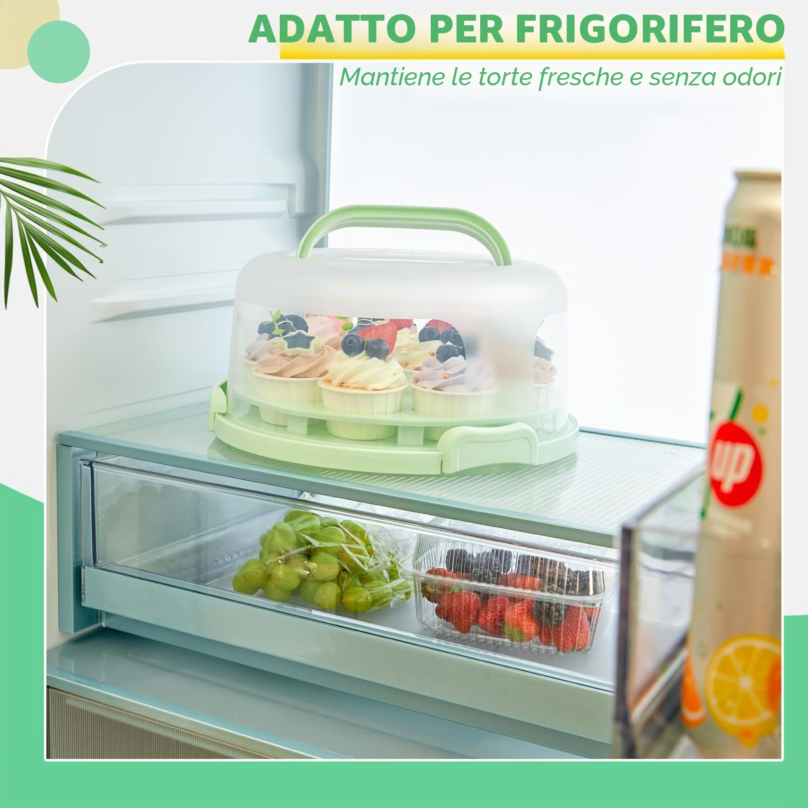 Porta Torte Ohuhu Rotondo Portatile 10 Pollici Con Coperchio, Scatola Con Base a Due Lati per Trasportare Noci Frutta, Ottimo Regalo per Le Donne