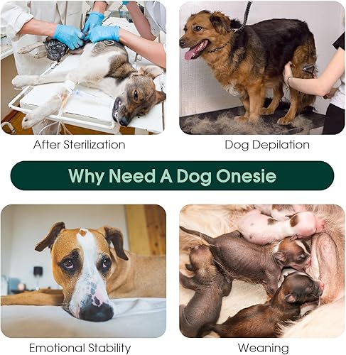 Vista 17 de Kuoser Traje de recuperación de cirugía para perros hembras, machos, antiesterilización a rayas, antilamedas, traje quirúrgico para heridas Rayas