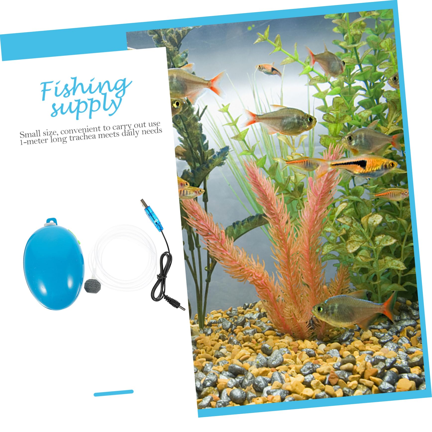 Bomba de oxigeno para pecera Suministro pecera Accesorios ambientador Bomba de Aire Piscina característica Tanque de Peces Suministro de Pesca Abdominales Blue
