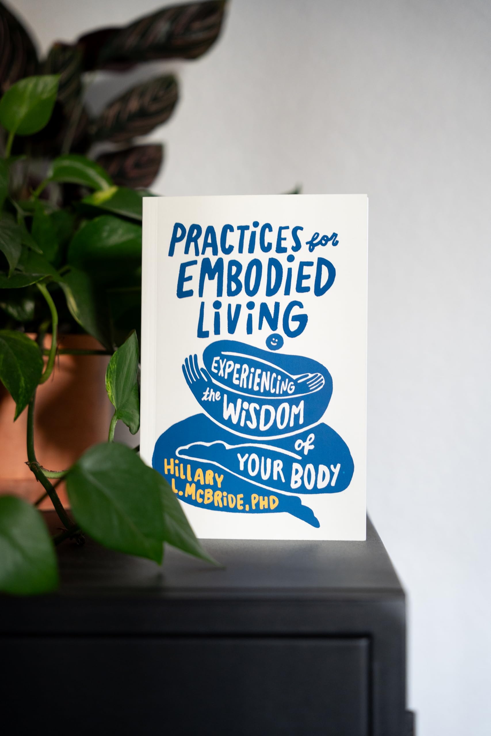Practices for Embodied Living: Experiencing the Wisdom of Your Body--A Self Esteem Body Image Workbook - Image 4