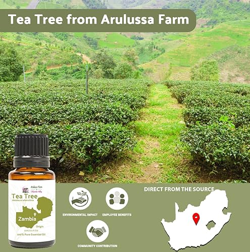 Miniatura 4 de Nature Packaged Aceite de árbol de té, directo de Arulussa Farms en Zambia, 100% puro, grado terapéutico, aceites esenciales a granel (25 libras)