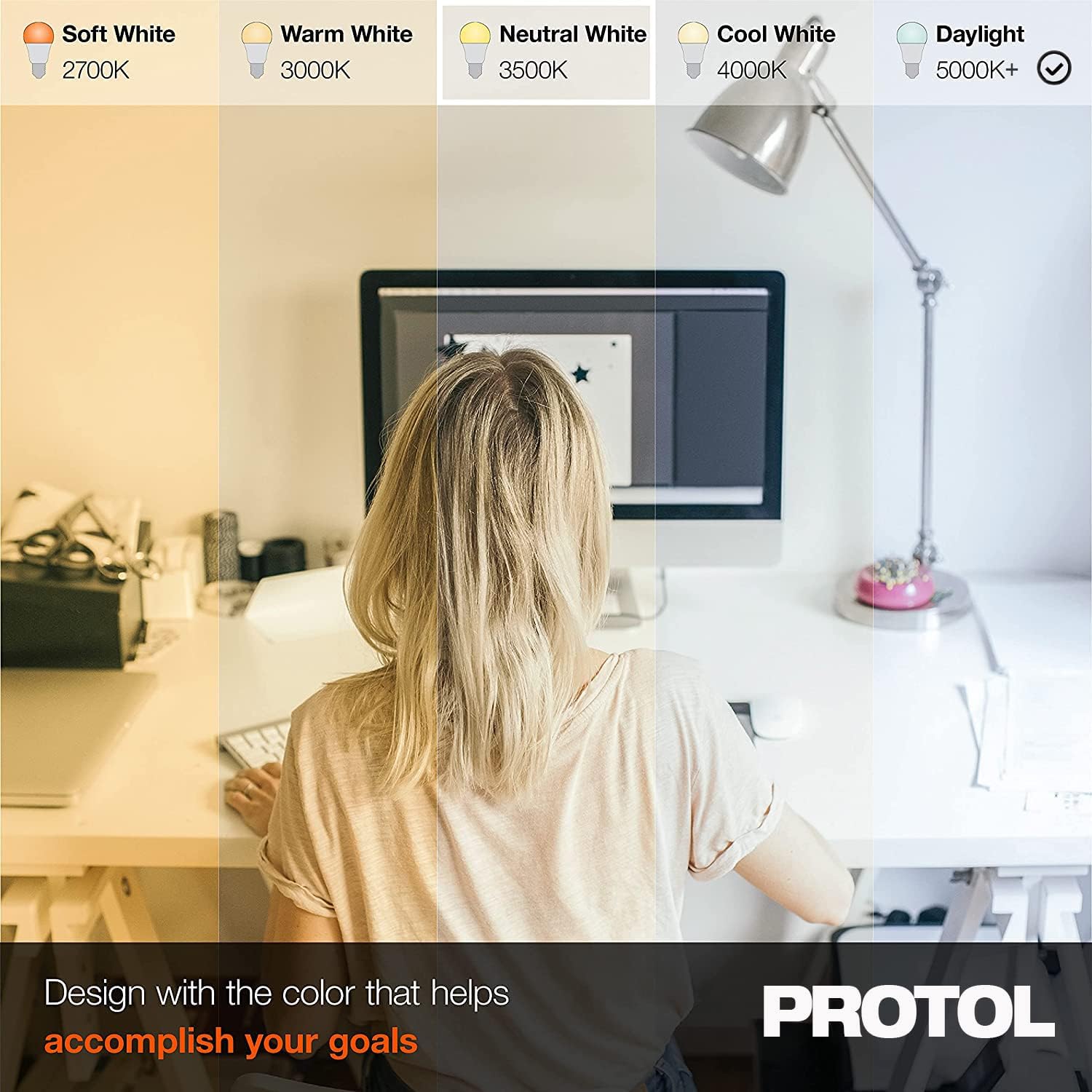 PROTOL A19 LED Light Bulb 12W - 100W Equivalent | 6500K Daylight | 1600 Lumens | Energy Saving, Long Lasting | Non-Dimmable | 4 Pack
