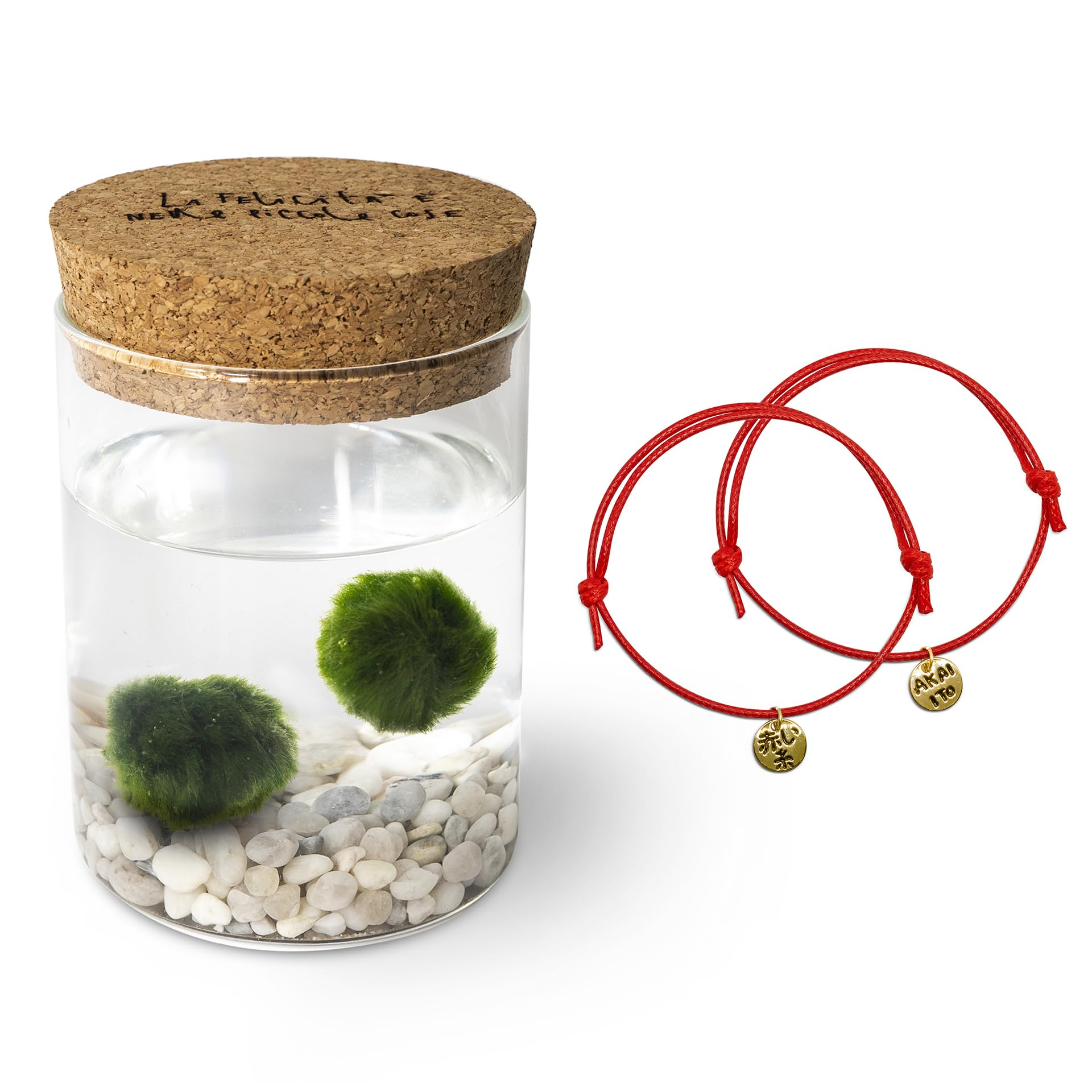 Marimo Original couple fond blanc et bracelets fil rouge destin avec or
