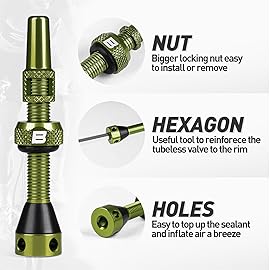 BWSHLF Tubeless Presta Valve Stem 40/44/55/60/65/80/100 mm, Super Light Alloy Presta Valve Stem Kit with Valve Core Remover Tool and Valve Stem Caps - Multiple Color and Size Options(Pair)