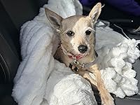 Review Image by Parent