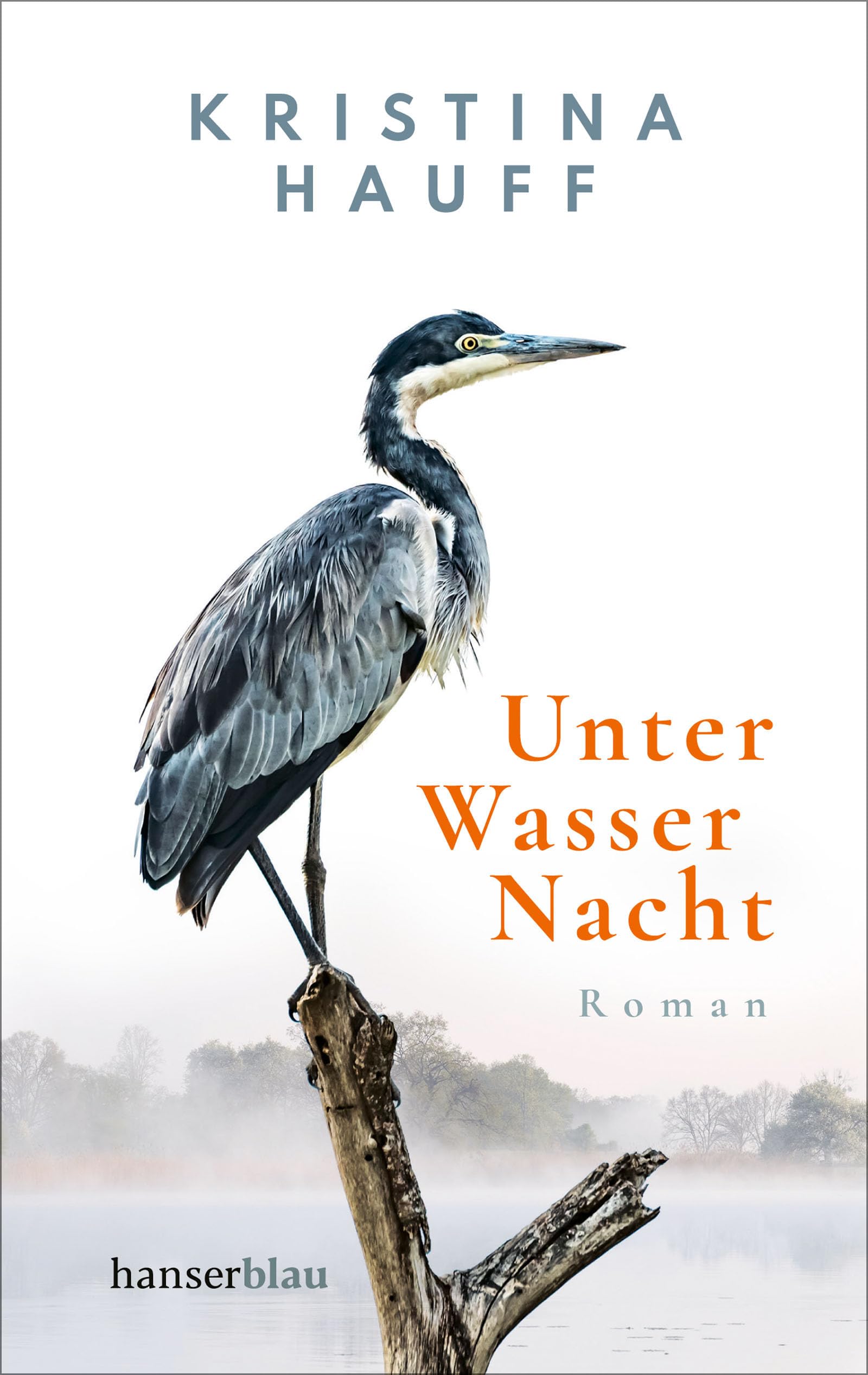 Unter Wasser Nacht: Roman. »Der absolute Wahnsinn!« Deutschlandfunk Kultur "Lesart"